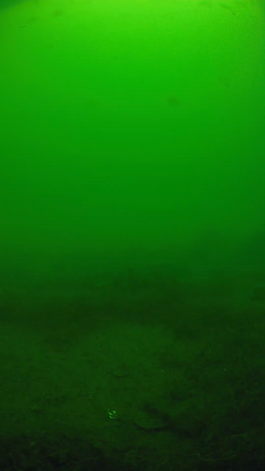 lander_ipcam_20250605120124.png
