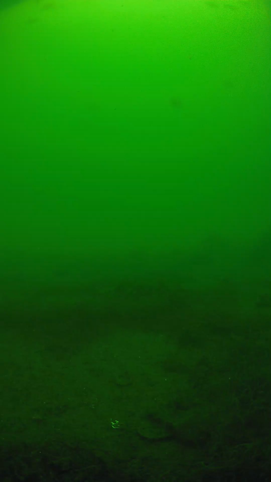 lander_ipcam_20250605120135.png