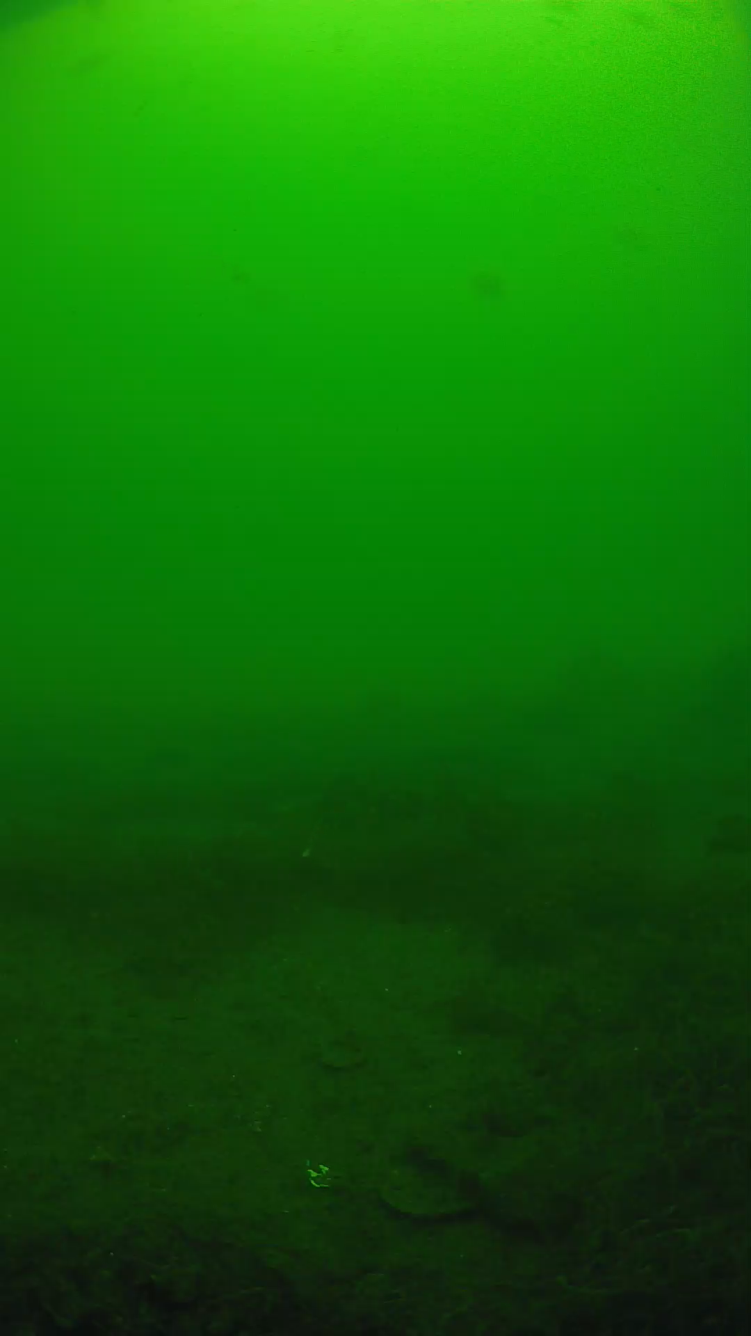 lander_ipcam_20250605120143.png