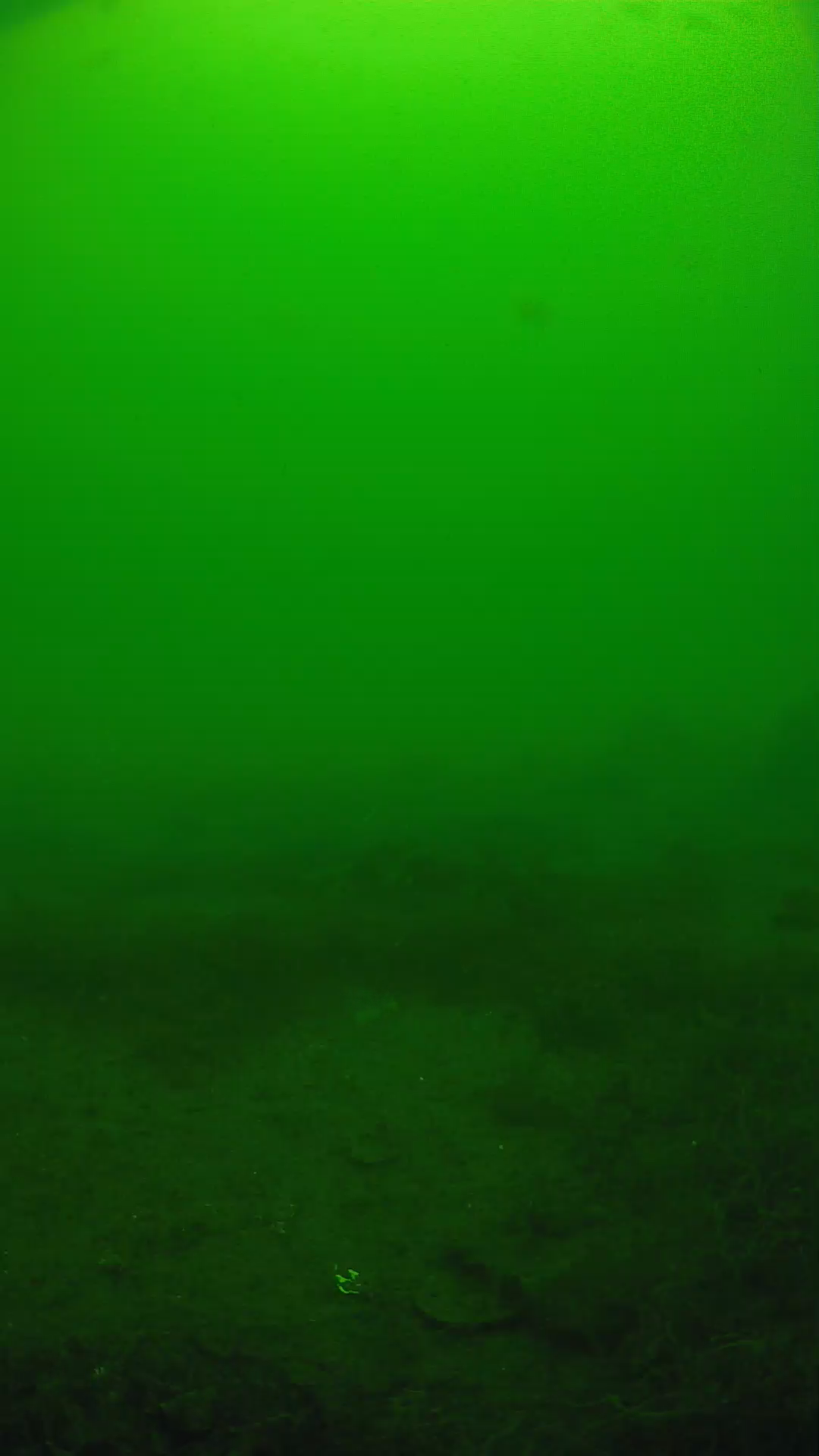 lander_ipcam_20250605120150.png