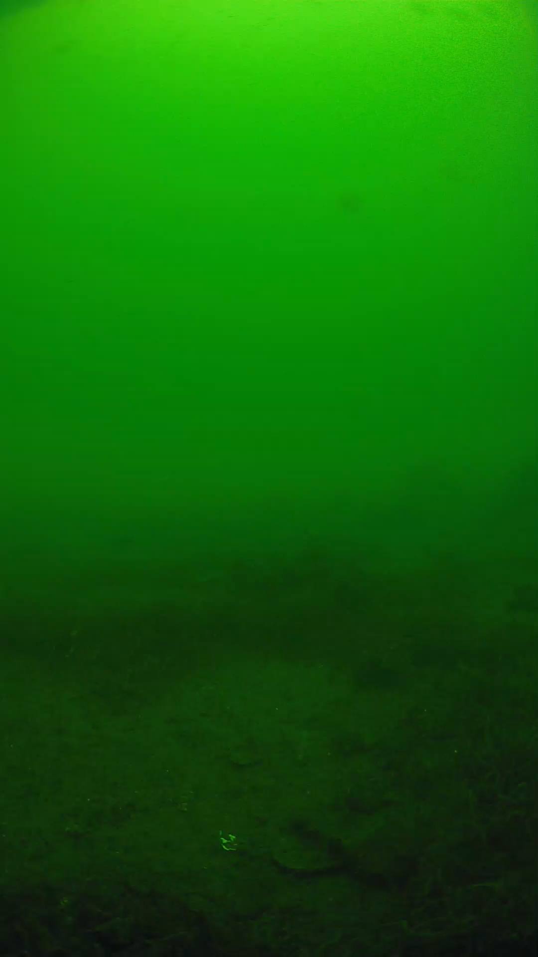 lander_ipcam_20250605120154.png