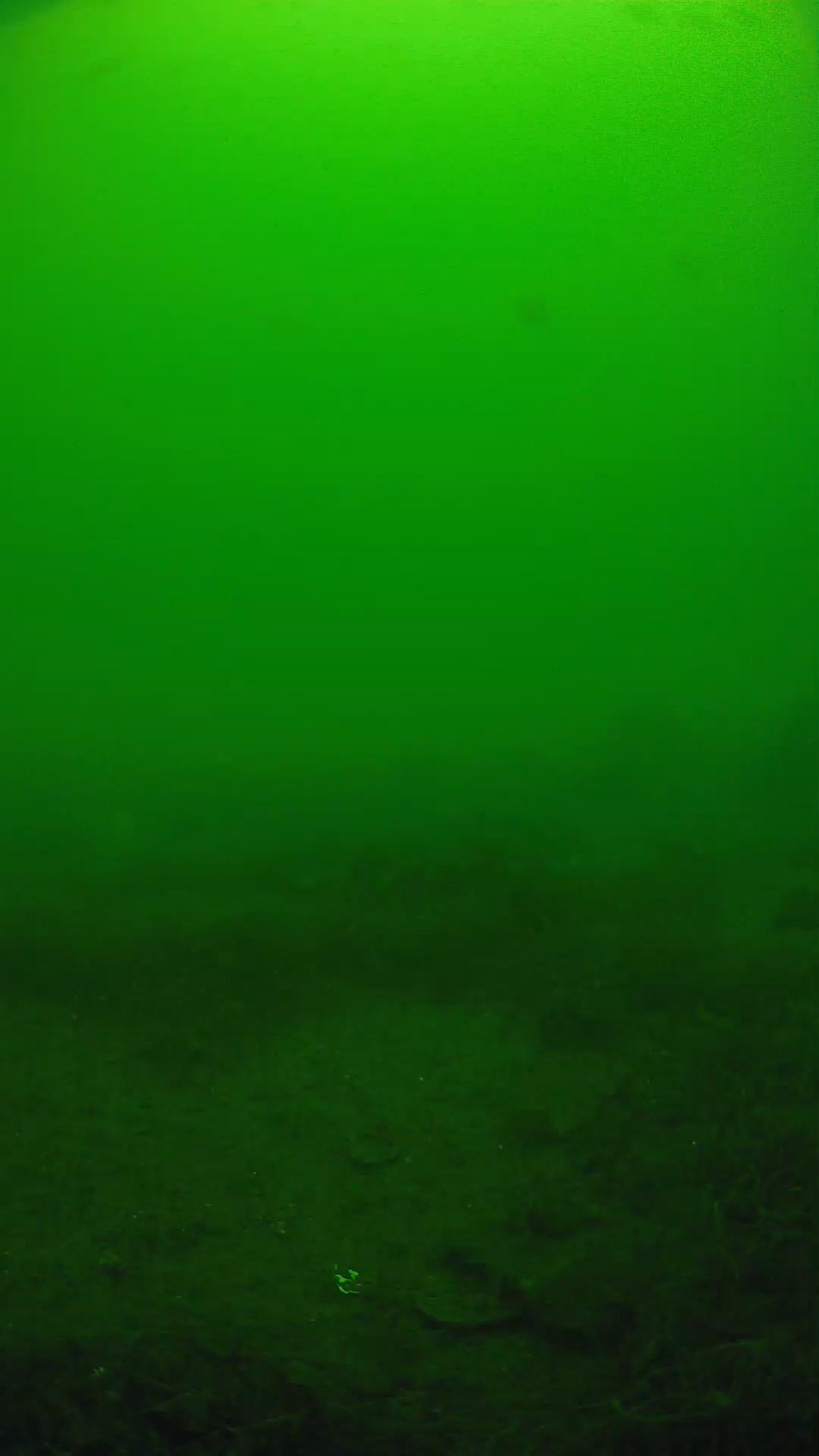 lander_ipcam_20250605120157.png