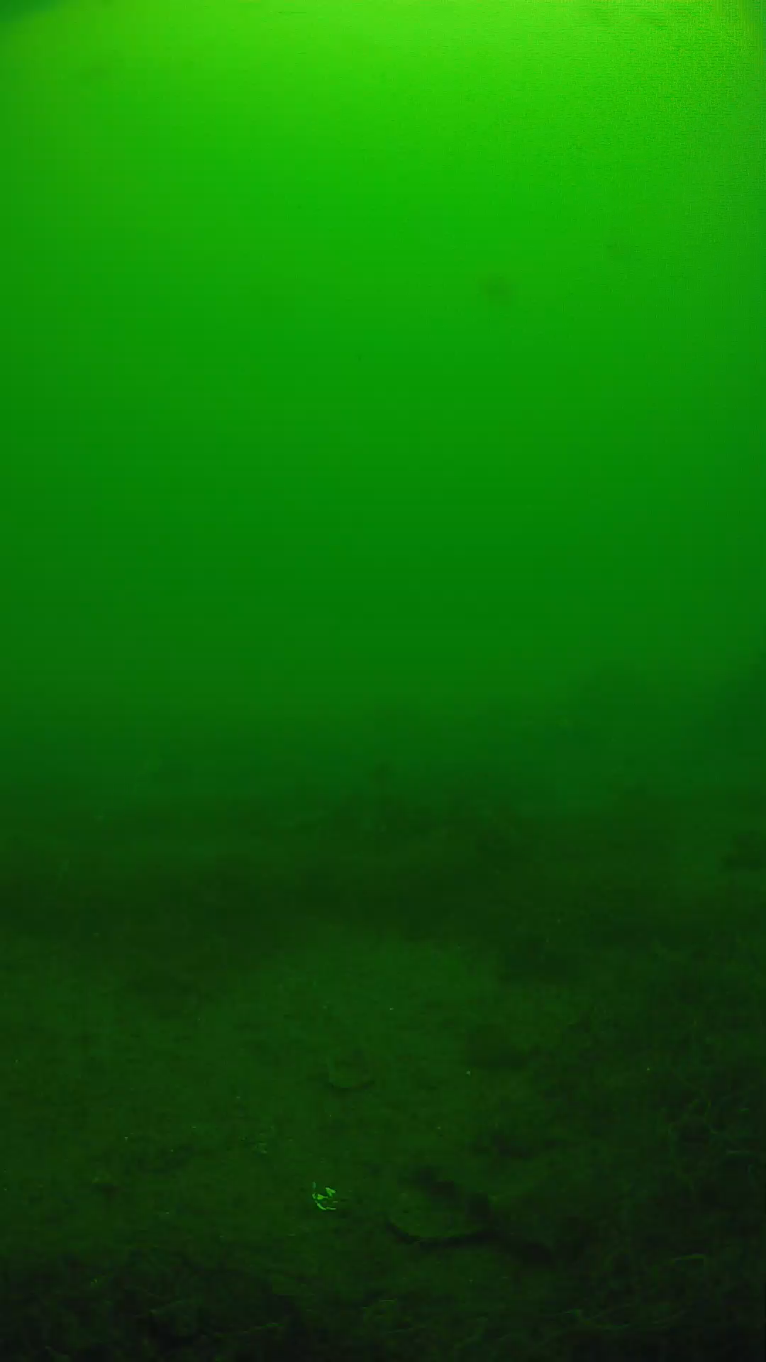 lander_ipcam_20250605121604.png