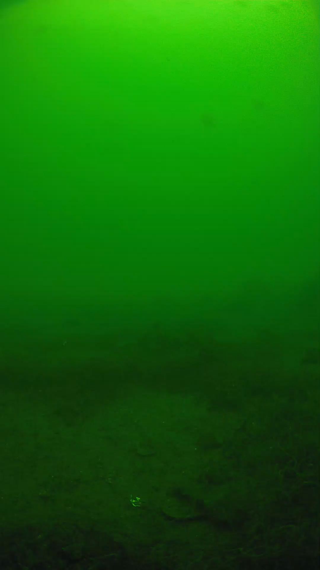 lander_ipcam_20250605121609.png