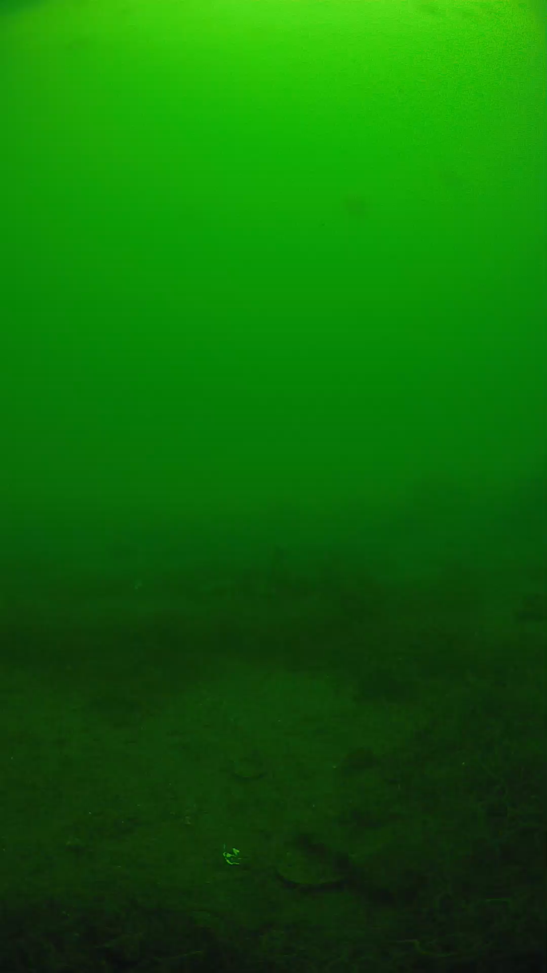 lander_ipcam_20250605121612.png