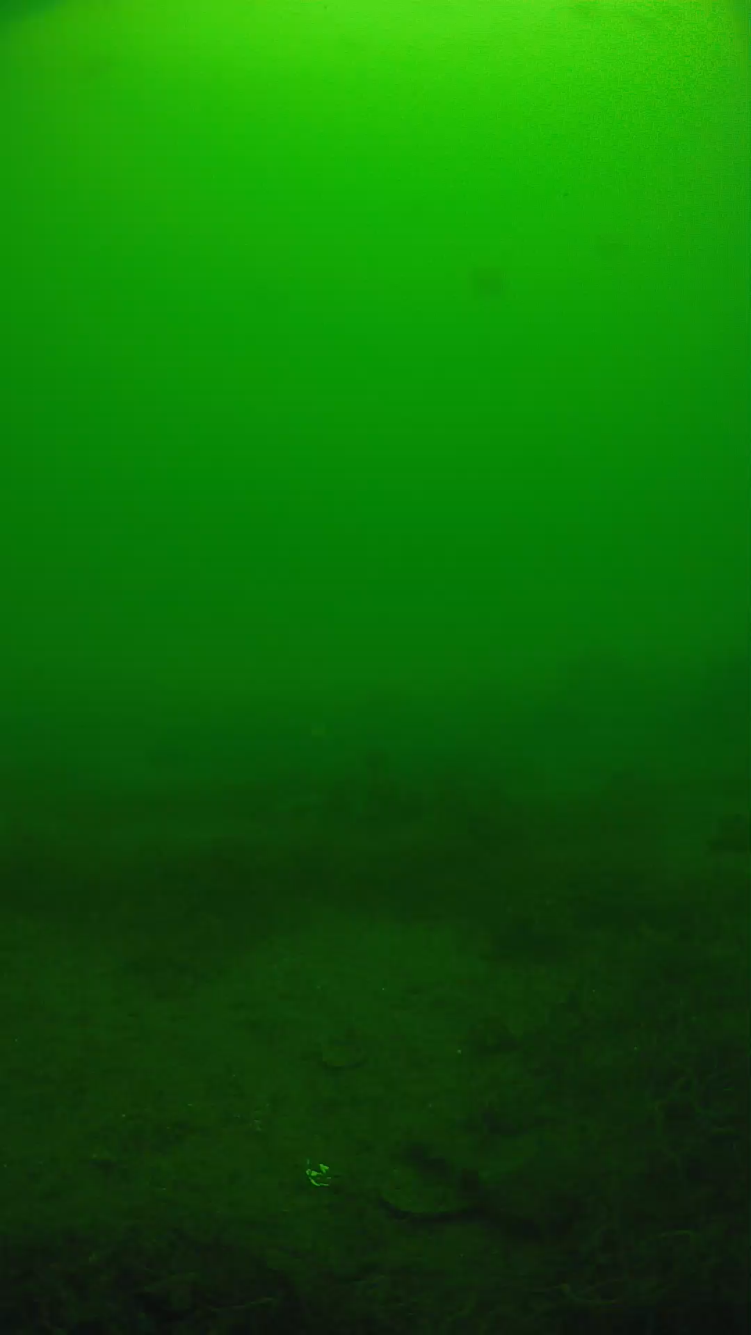lander_ipcam_20250605121623.png