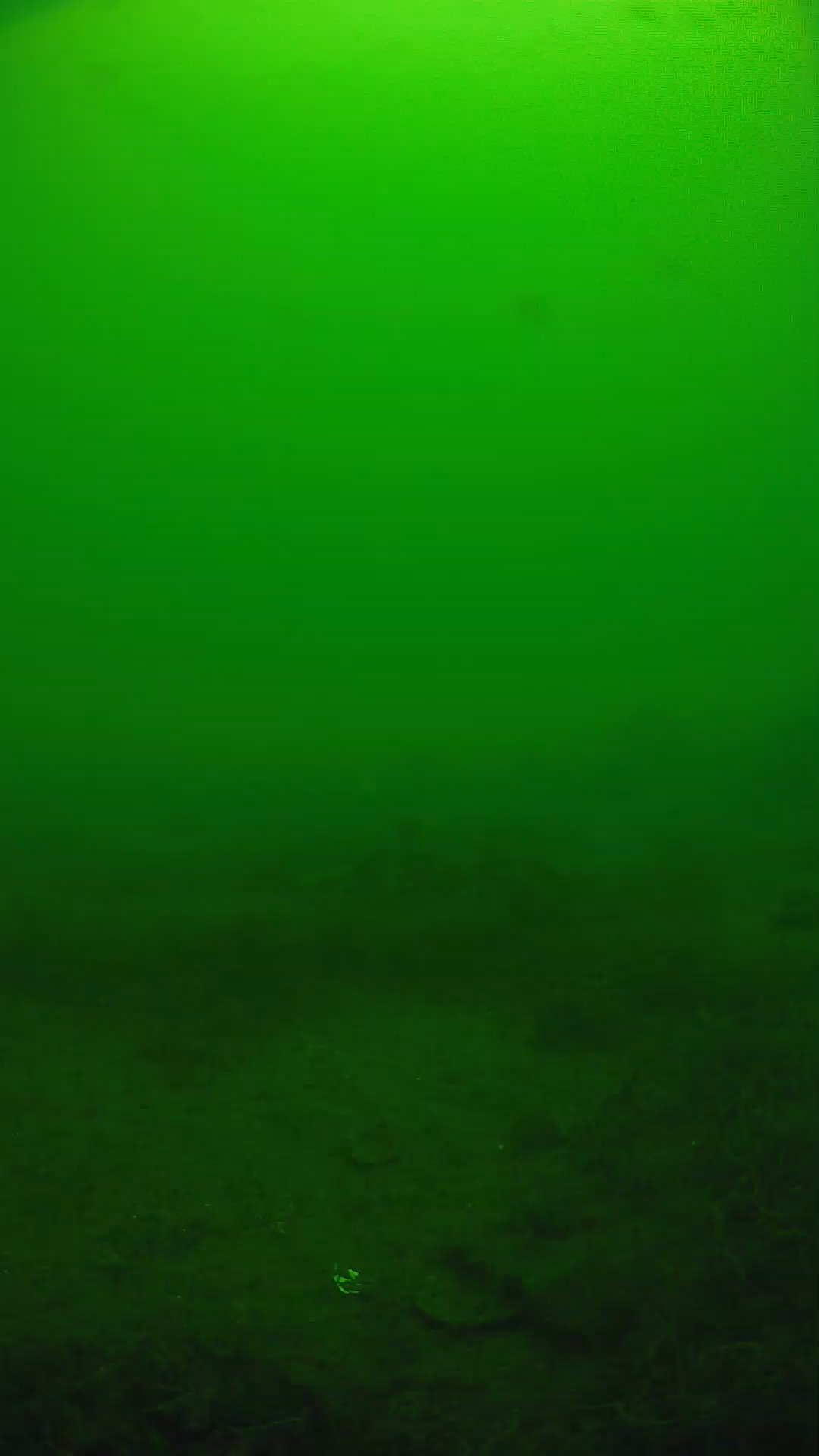 lander_ipcam_20250605121624.png