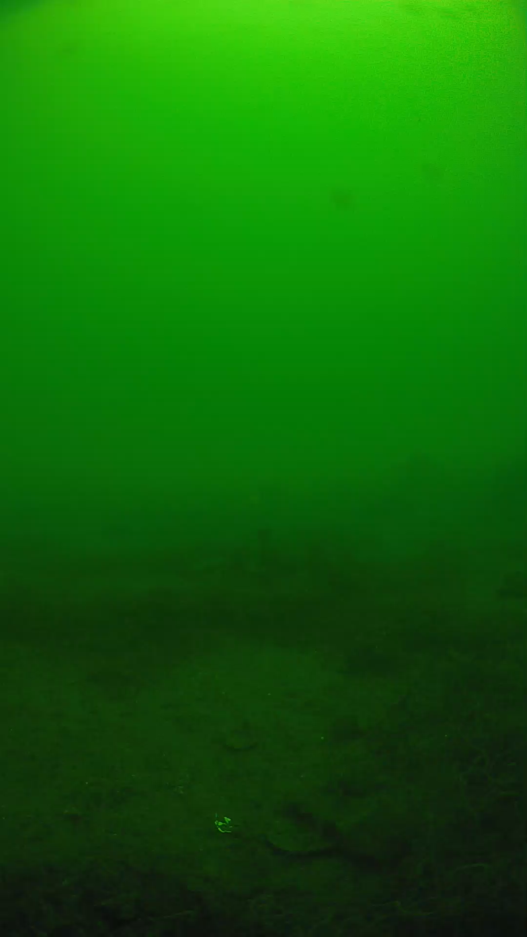 lander_ipcam_20250605121625.png
