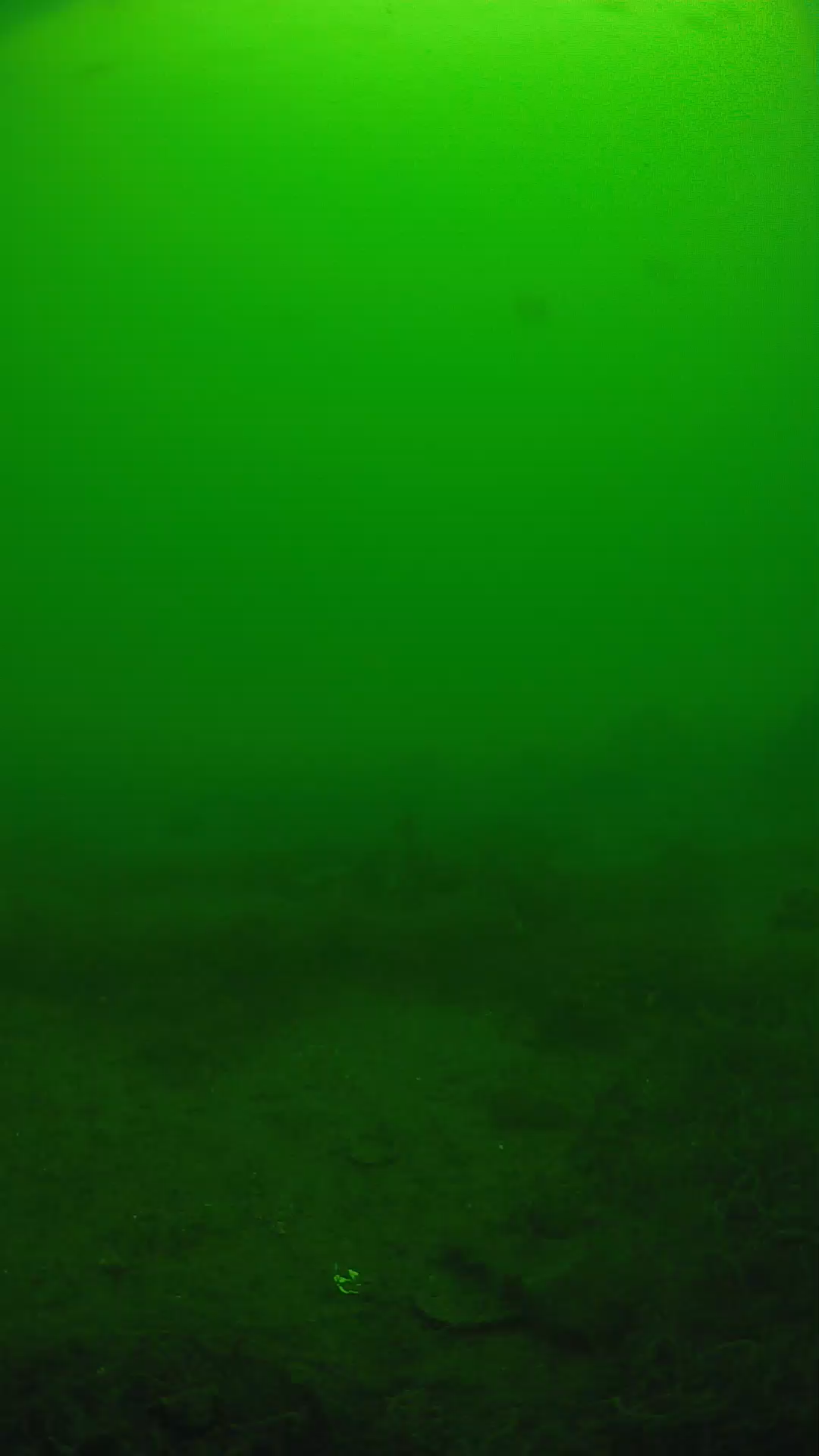 lander_ipcam_20250605121635.png