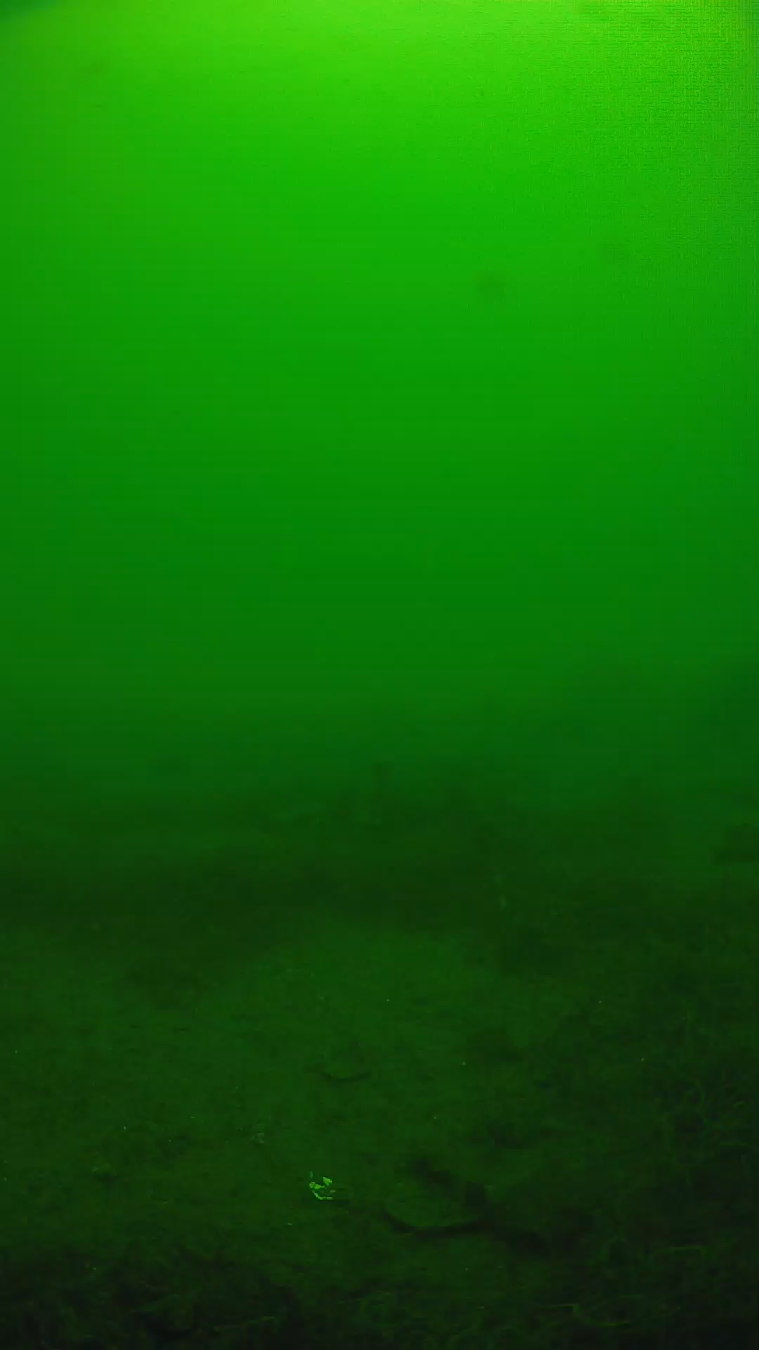 lander_ipcam_20250605121648.png
