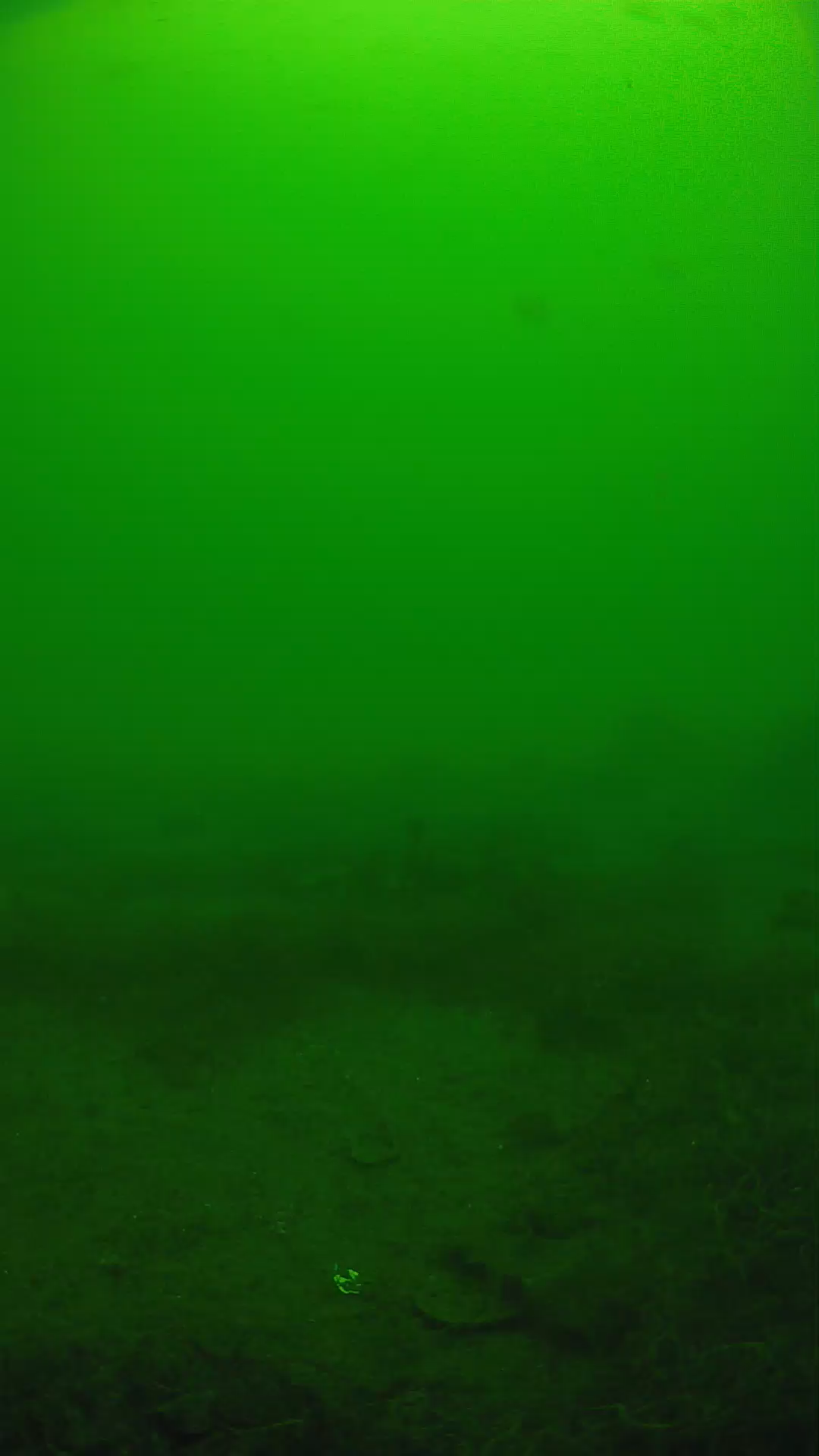 lander_ipcam_20250605121654.png
