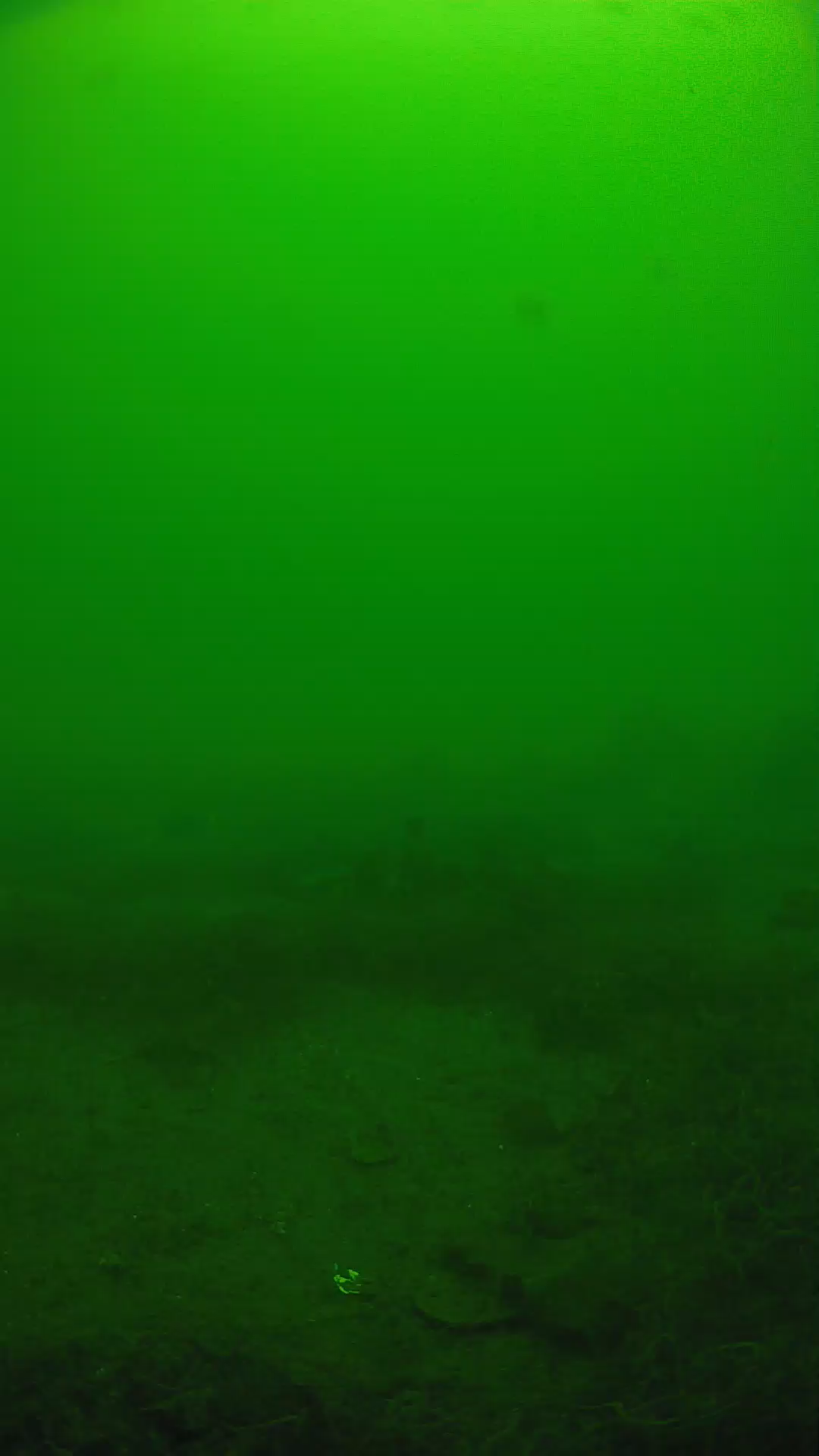 lander_ipcam_20250605121657.png