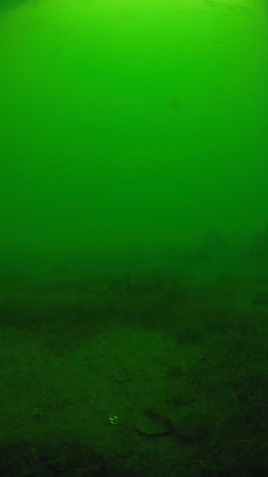 lander_ipcam_20250605123102.png