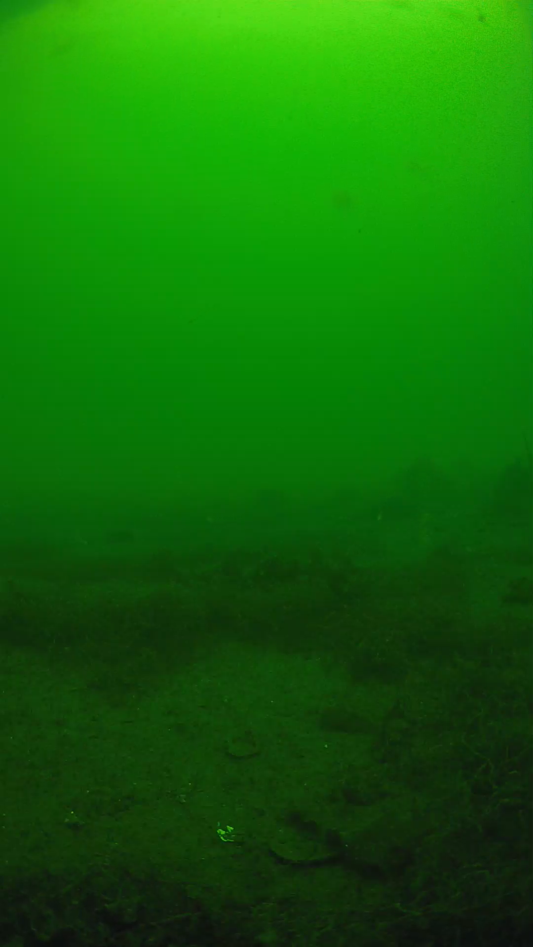 lander_ipcam_20250605123123.png