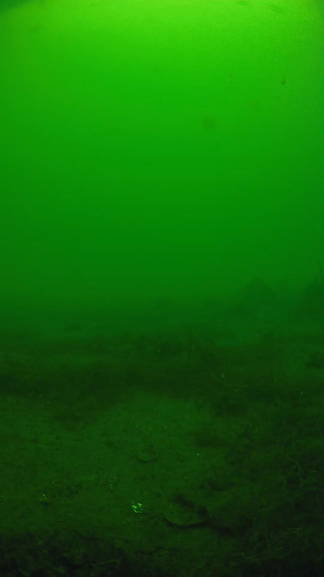 lander_ipcam_20250605123126.png