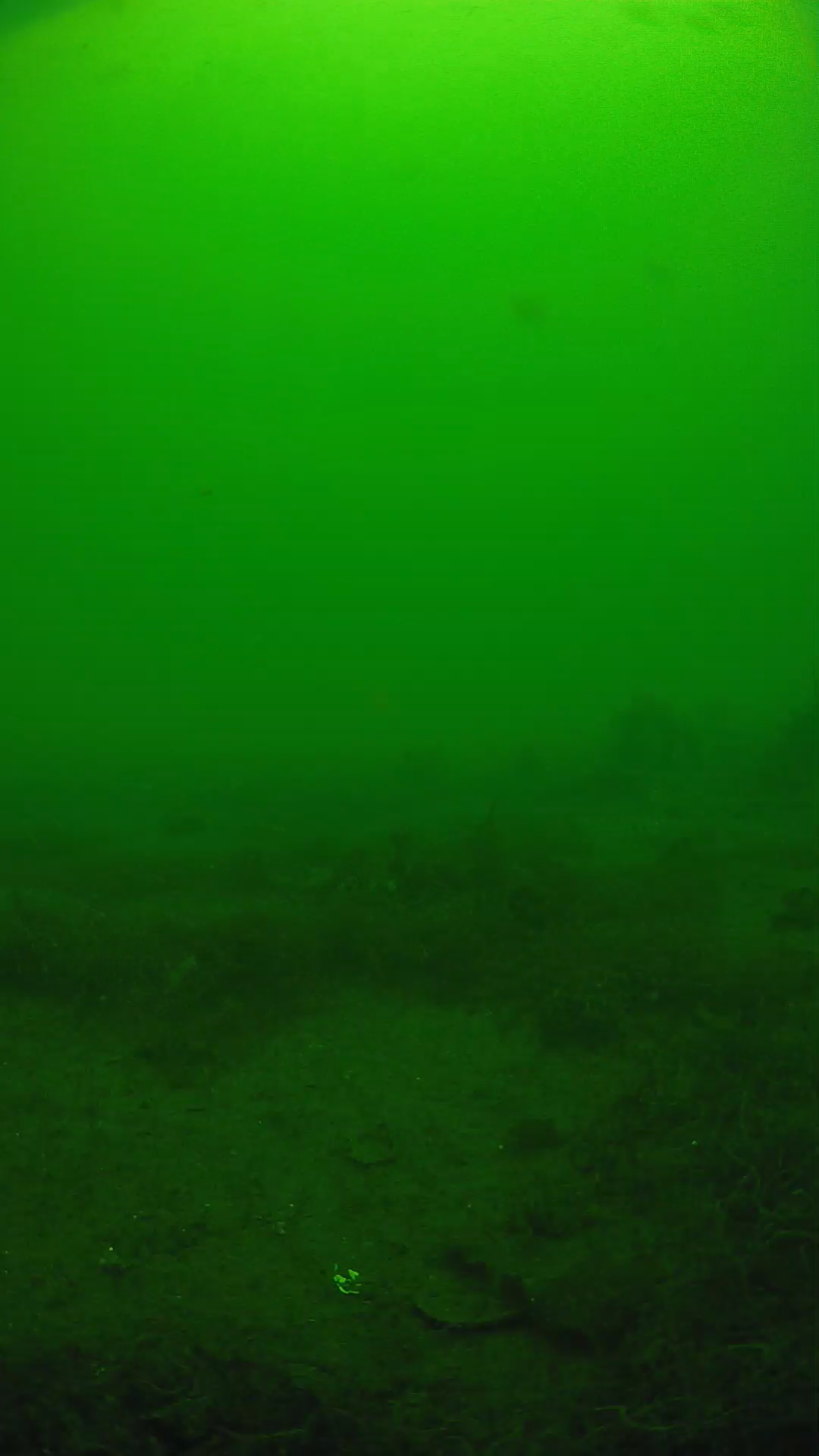 lander_ipcam_20250605123141.png