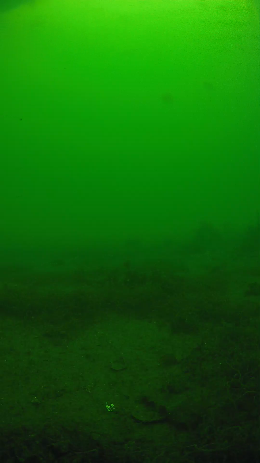 lander_ipcam_20250605123151.png