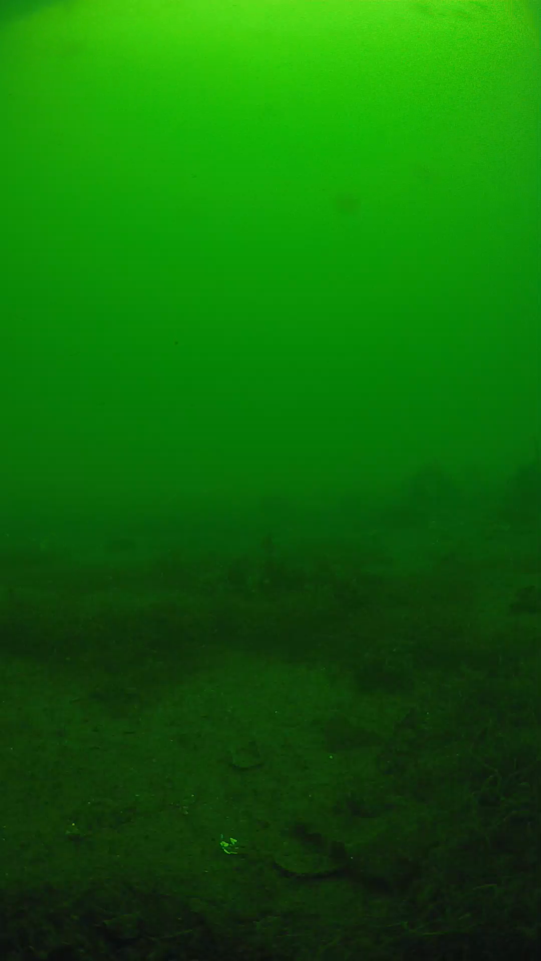 lander_ipcam_20250605123156.png