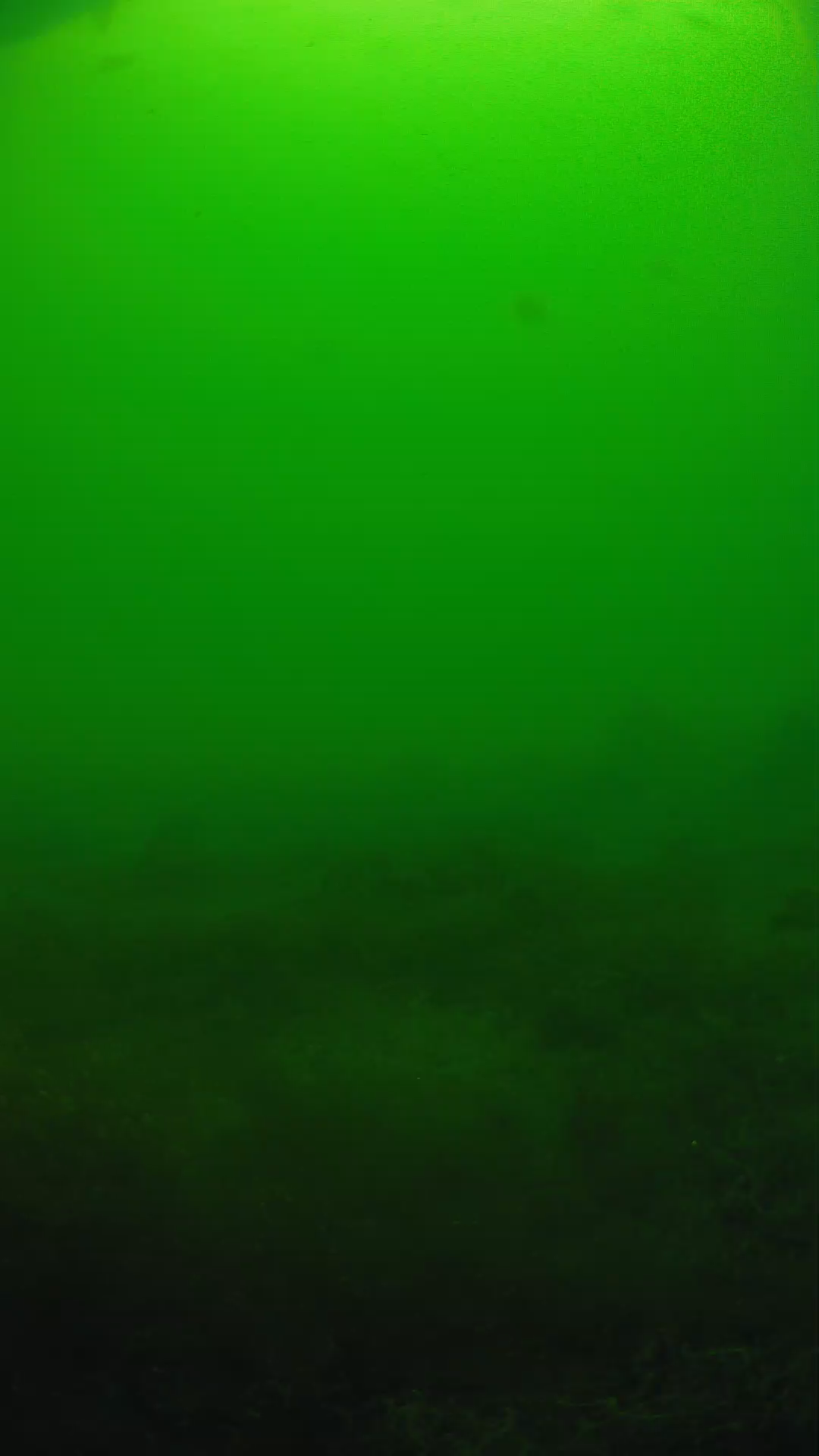 lander_ipcam_20250605124604.png