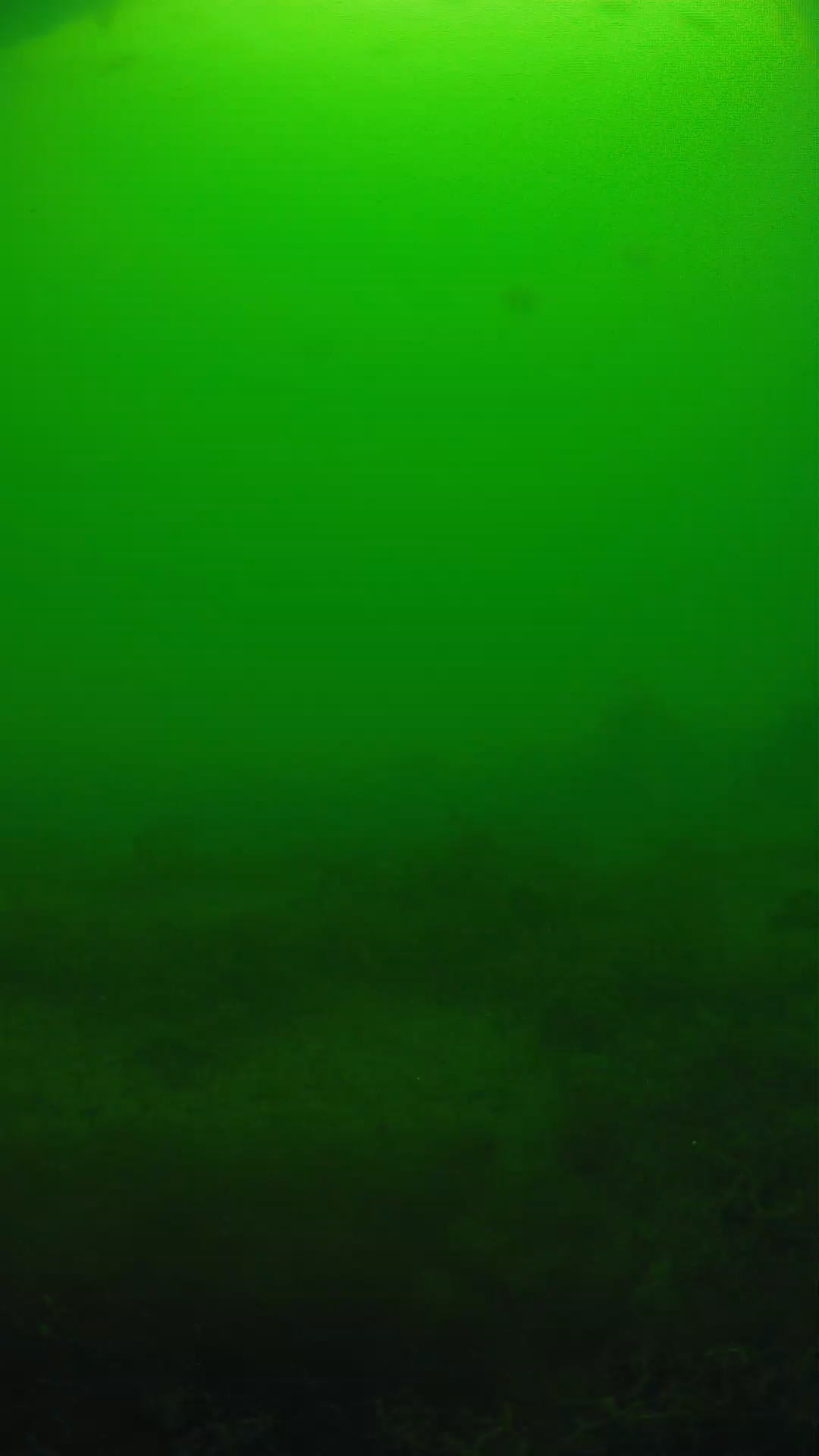 lander_ipcam_20250605124613.png