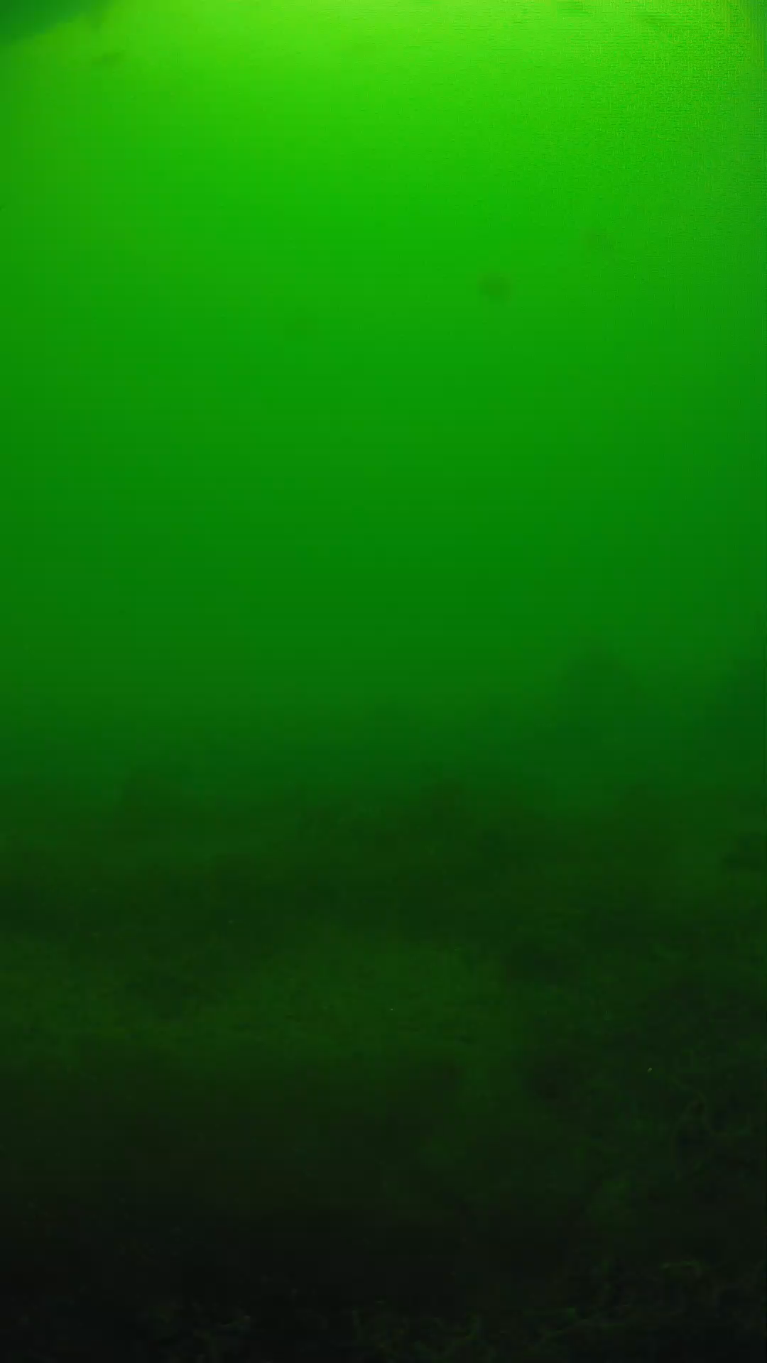 lander_ipcam_20250605124614.png