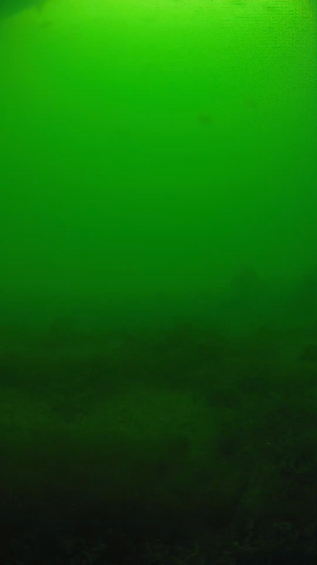 lander_ipcam_20250605124615.png
