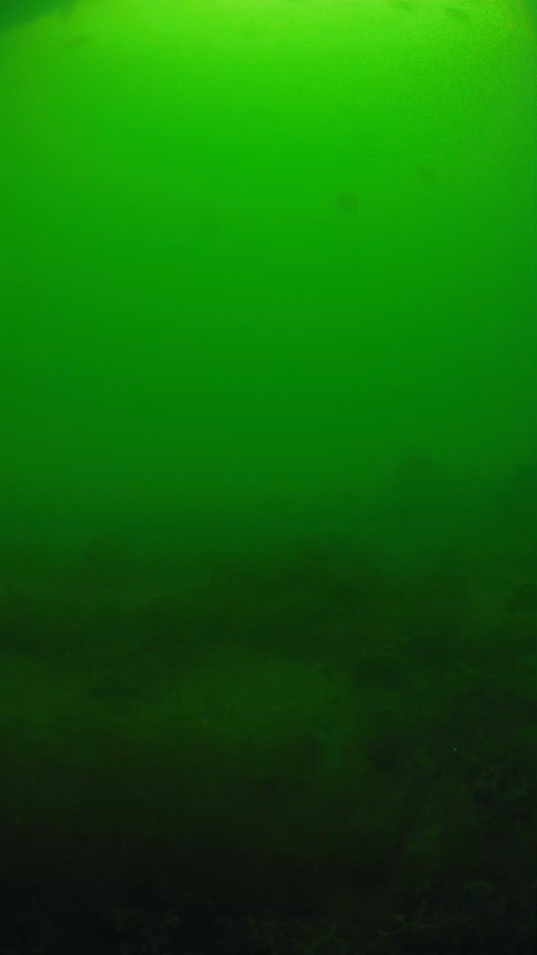 lander_ipcam_20250605124616.png
