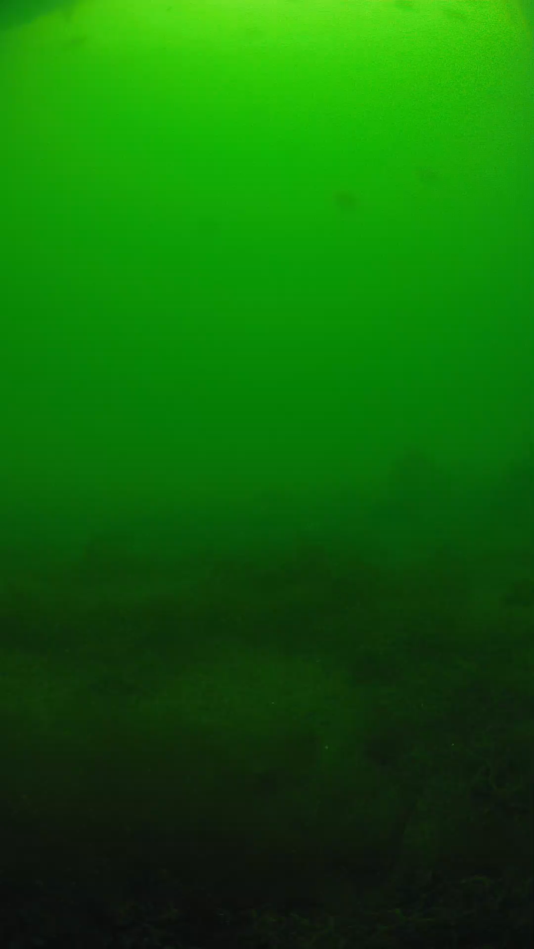 lander_ipcam_20250605124617.png