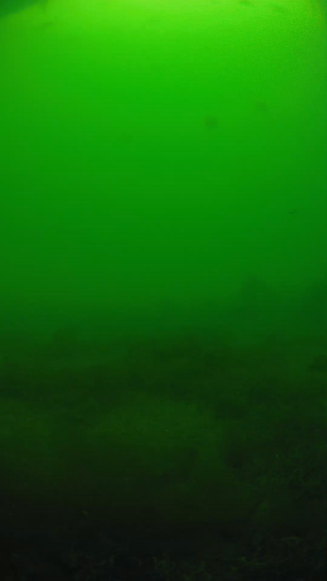 lander_ipcam_20250605124621.png