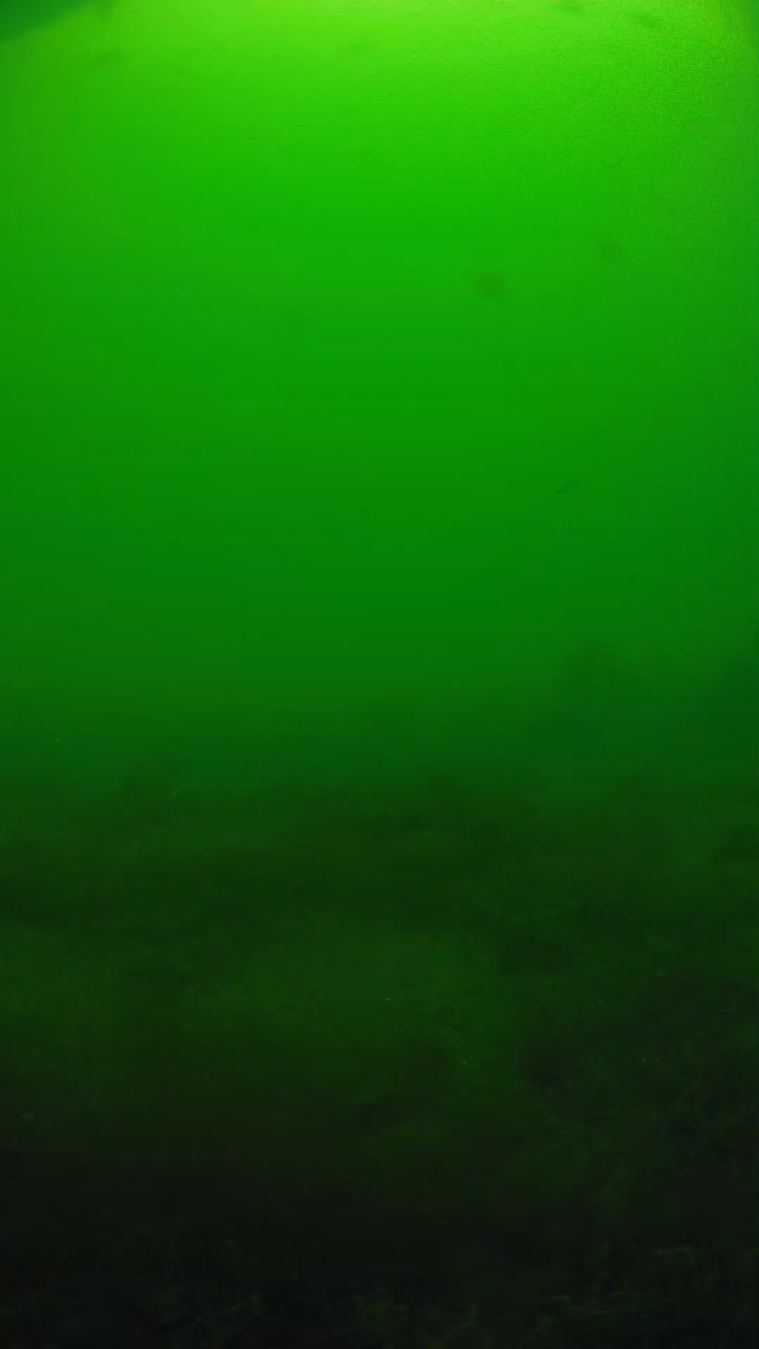 lander_ipcam_20250605124623.png