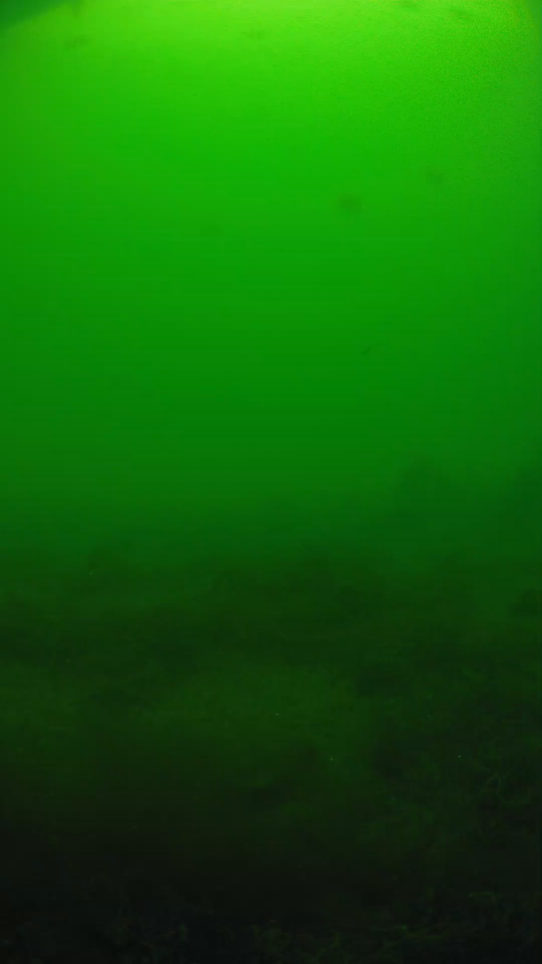 lander_ipcam_20250605124624.png