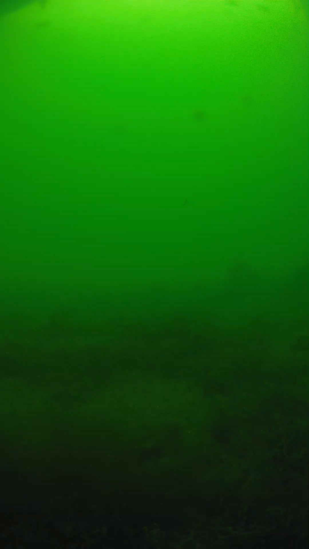 lander_ipcam_20250605124625.png