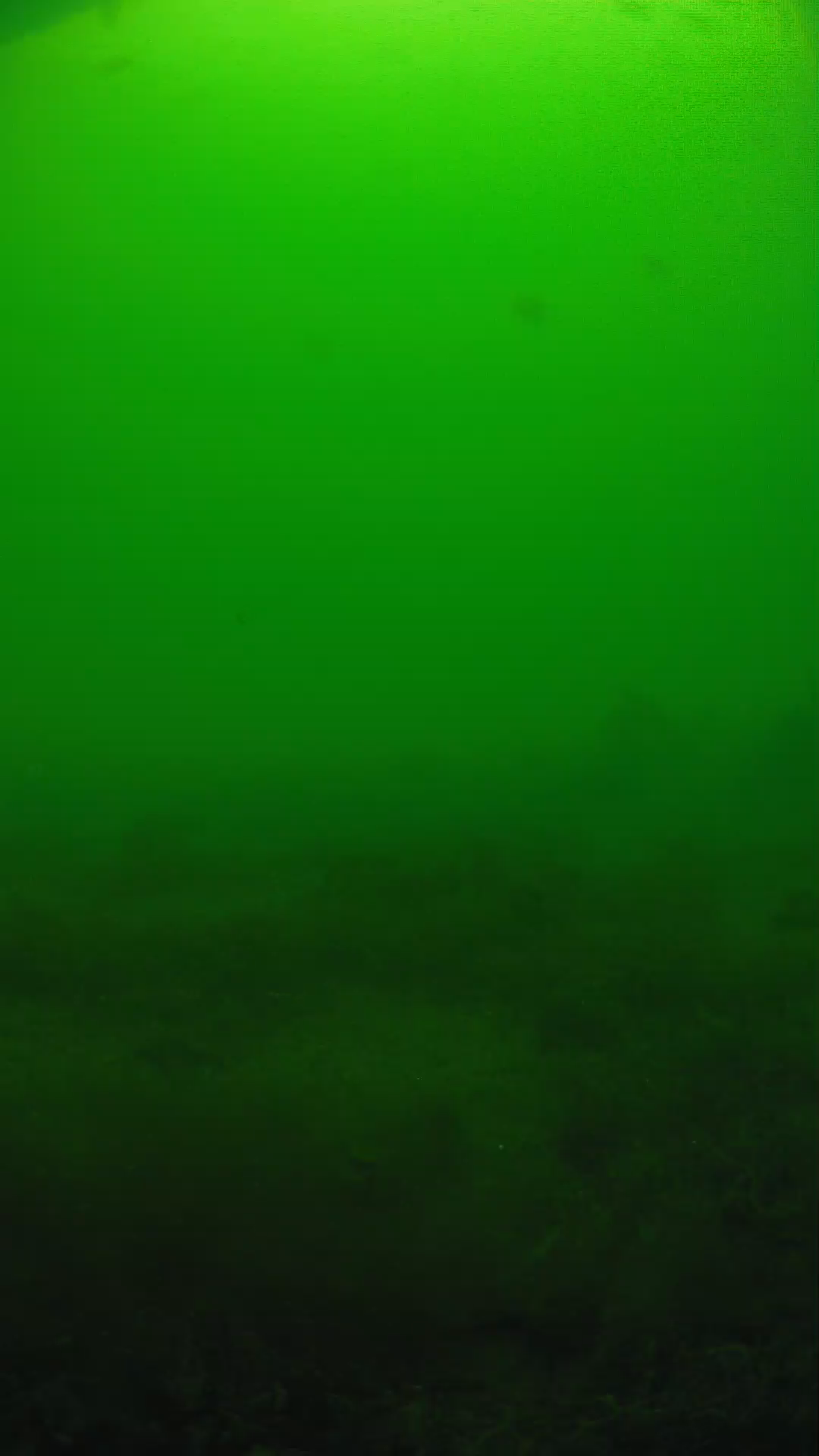 lander_ipcam_20250605124629.png