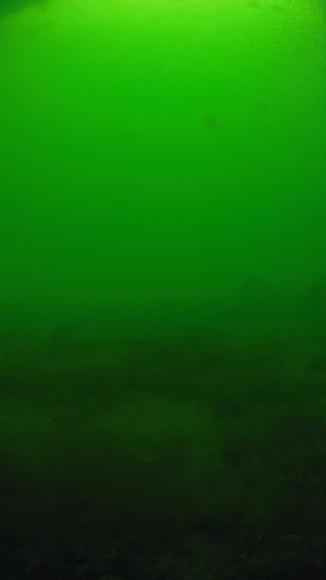 lander_ipcam_20250605124630.png