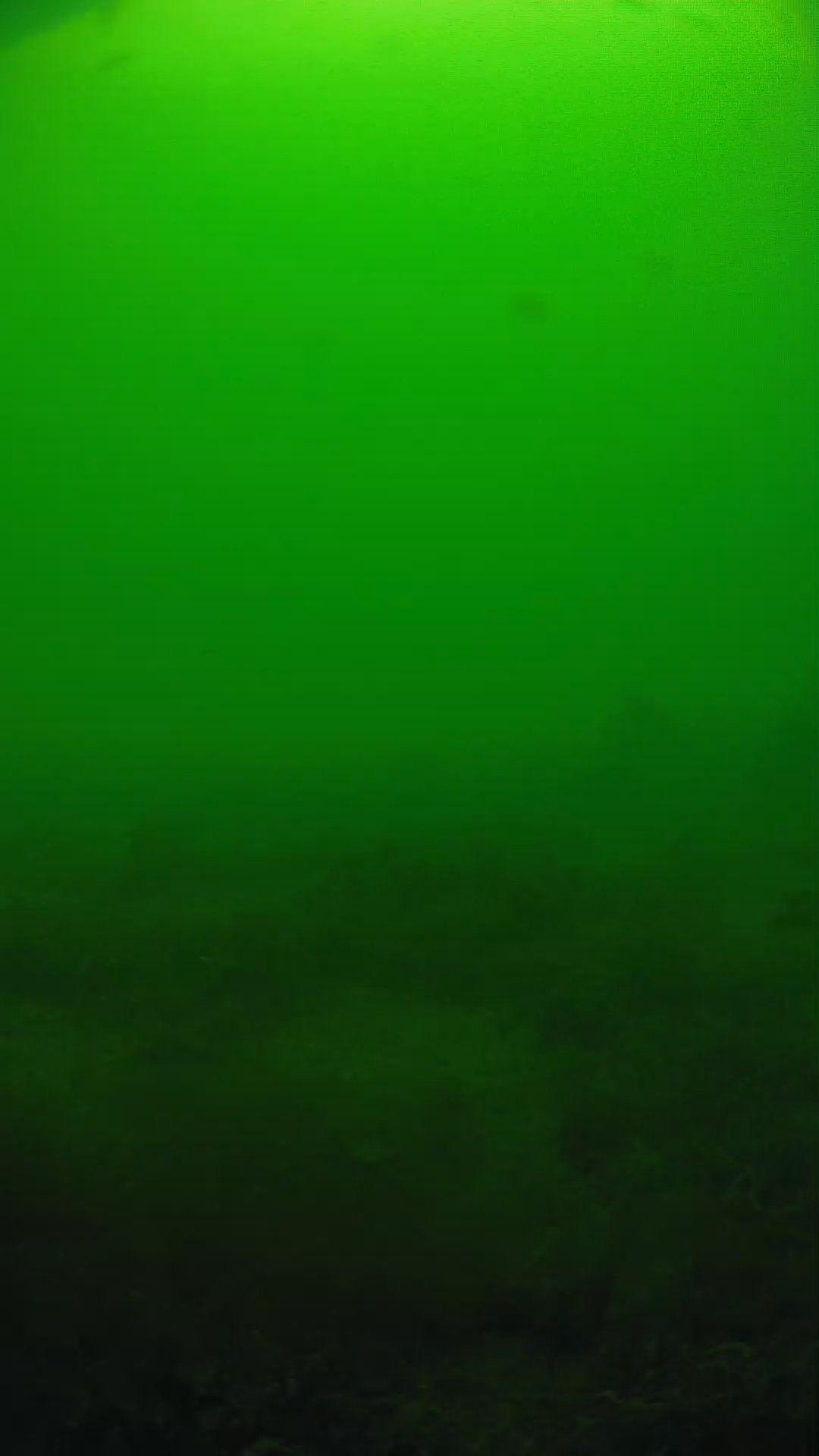 lander_ipcam_20250605124631.png