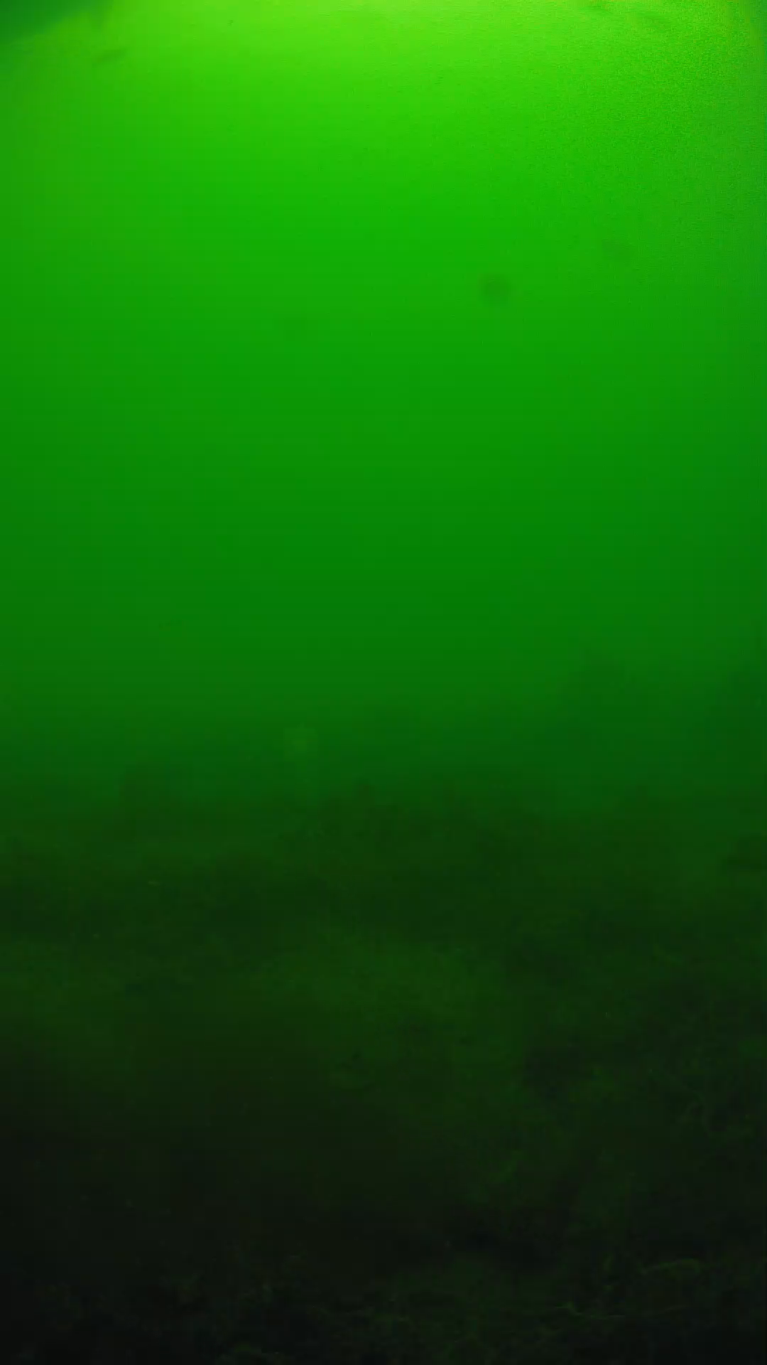 lander_ipcam_20250605124632.png