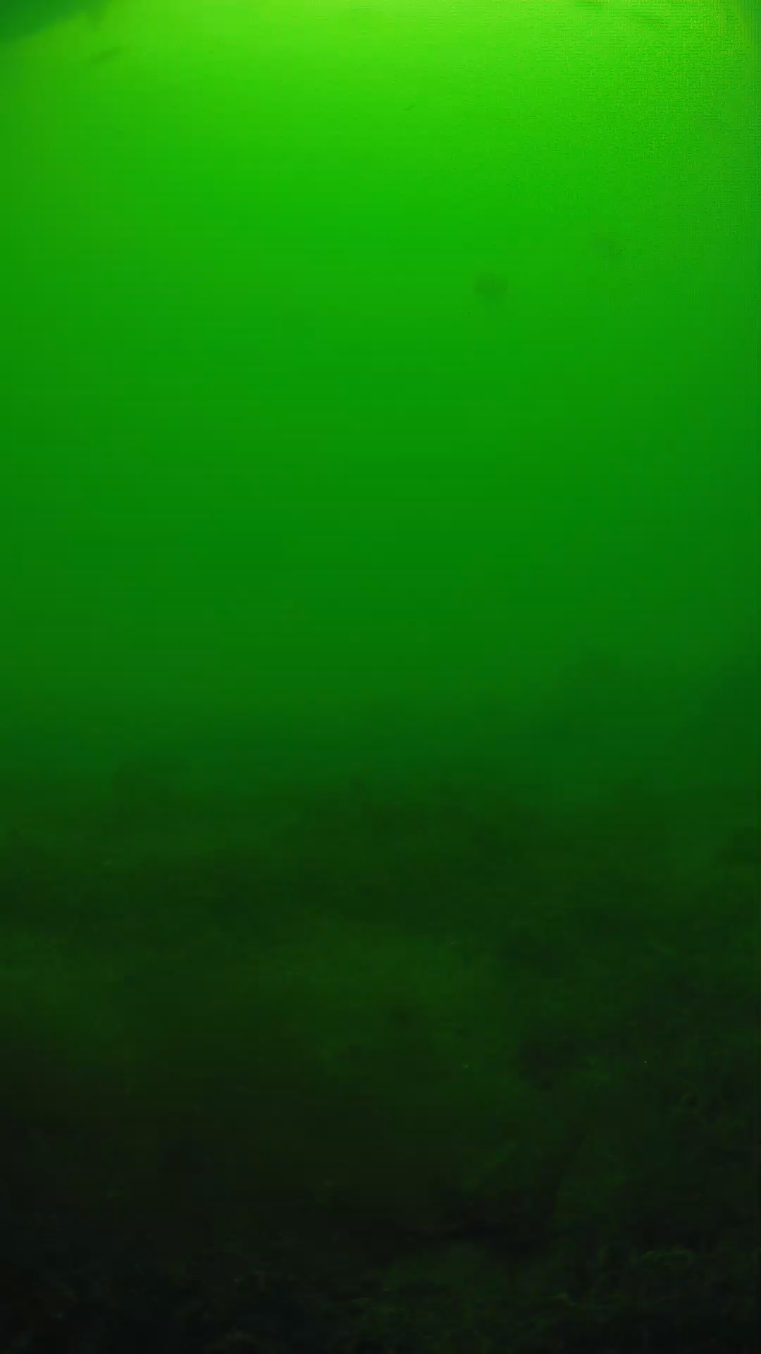 lander_ipcam_20250605124633.png