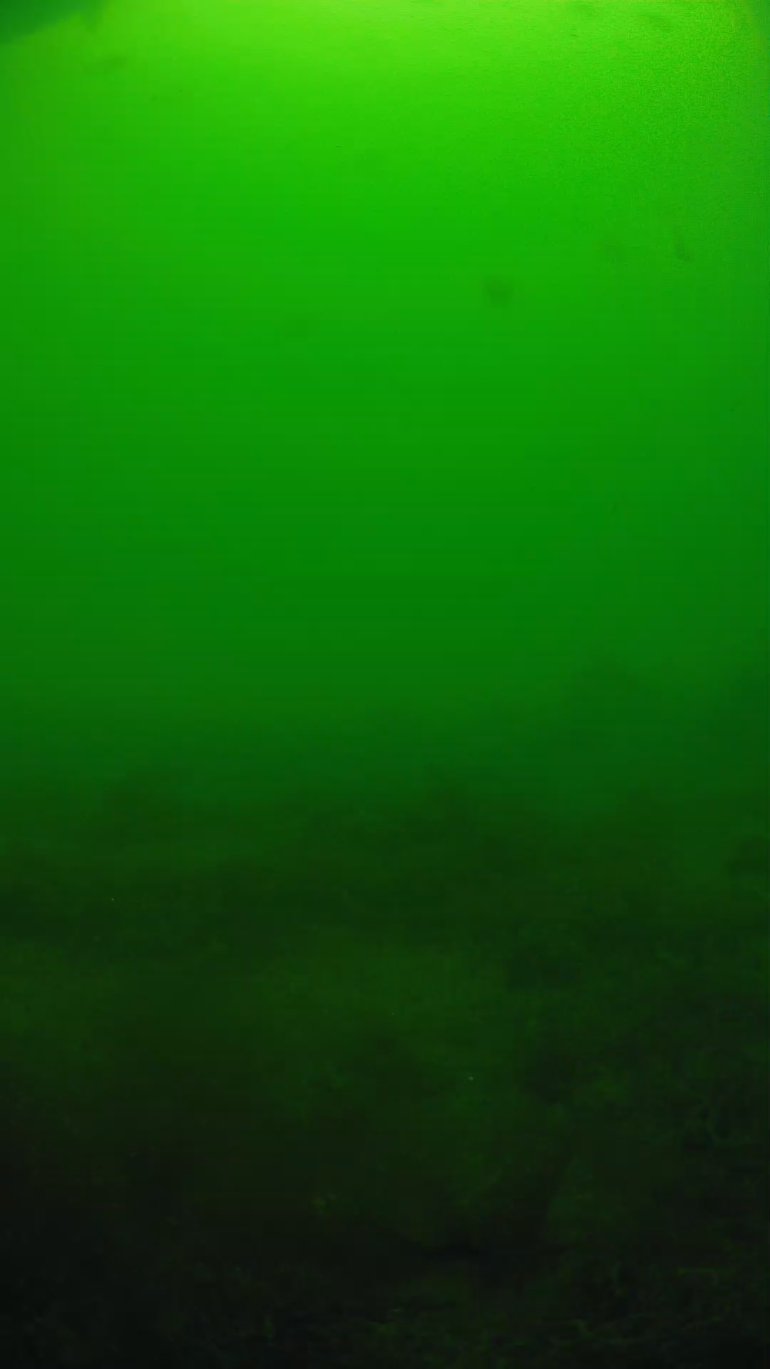 lander_ipcam_20250605124637.png