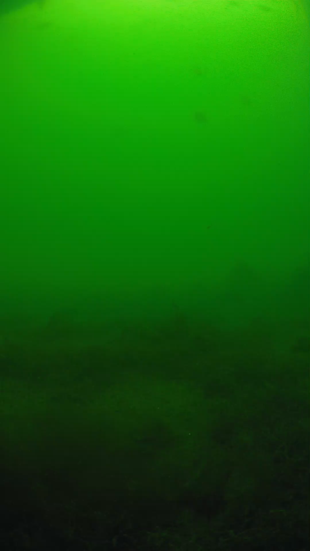 lander_ipcam_20250605124639.png