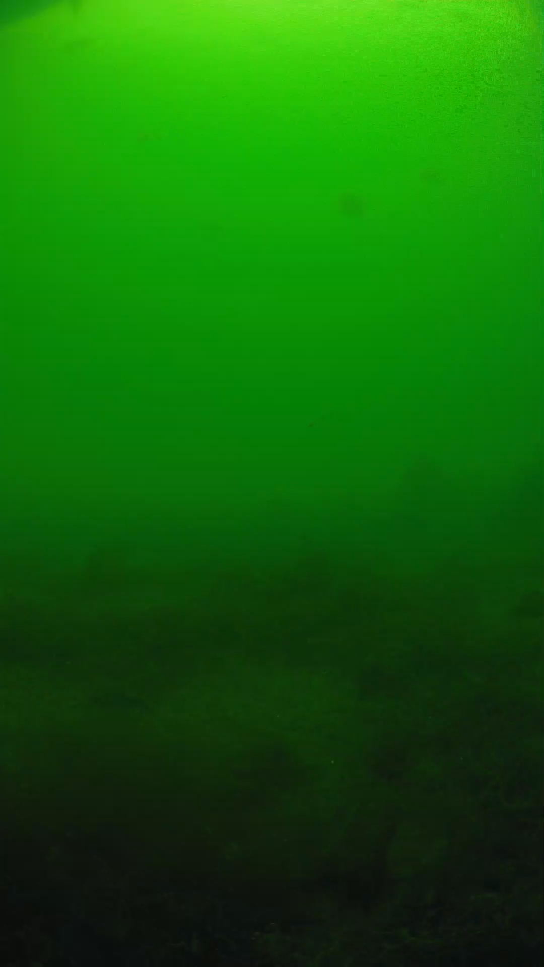 lander_ipcam_20250605124640.png