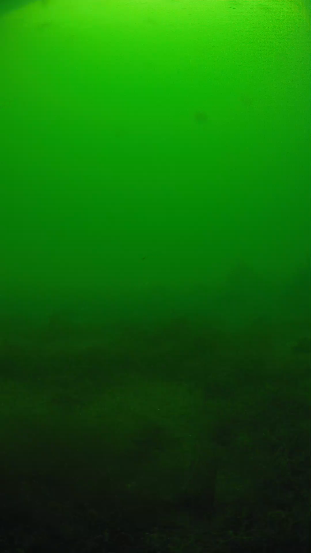 lander_ipcam_20250605124641.png