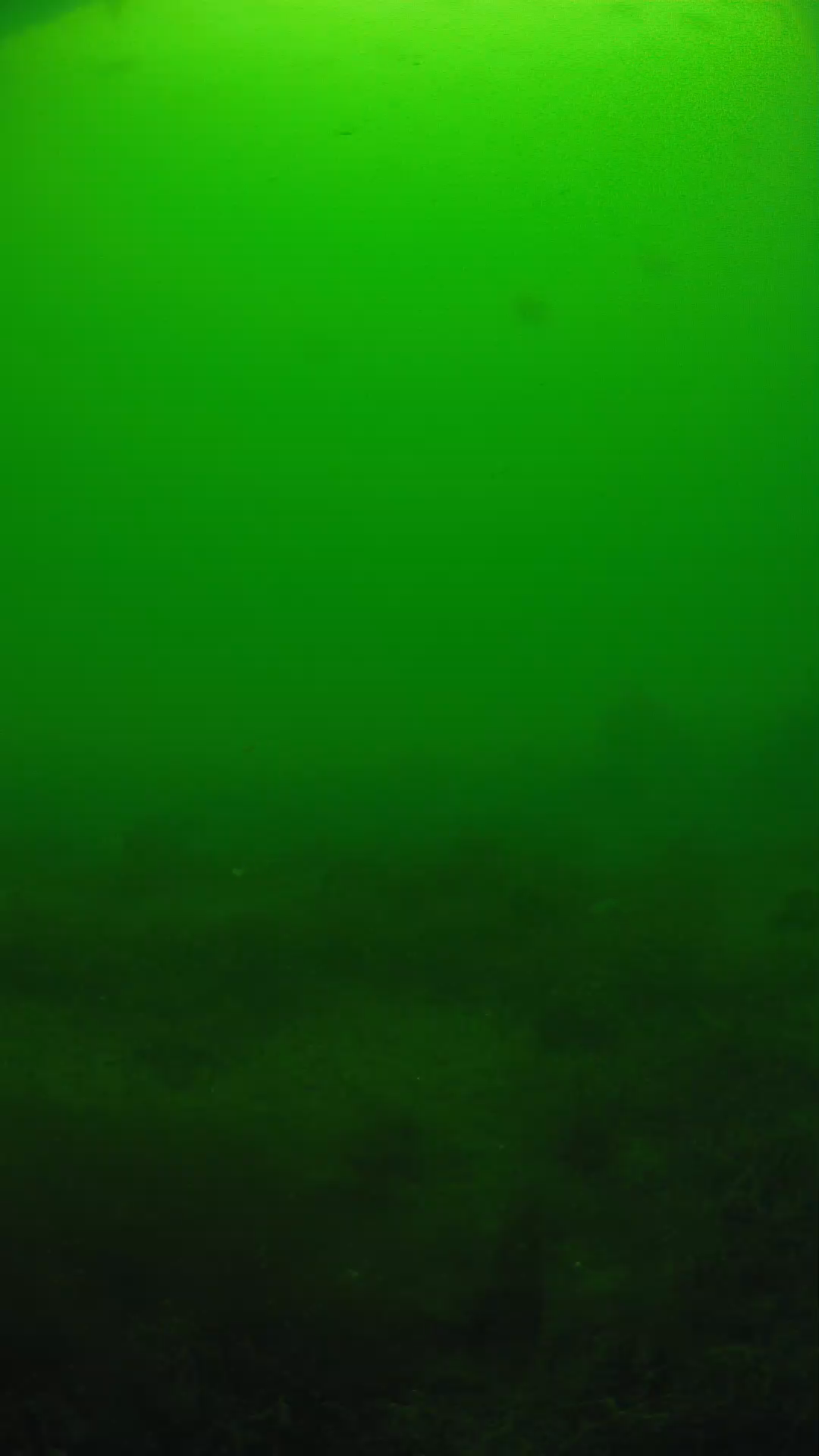 lander_ipcam_20250605124643.png