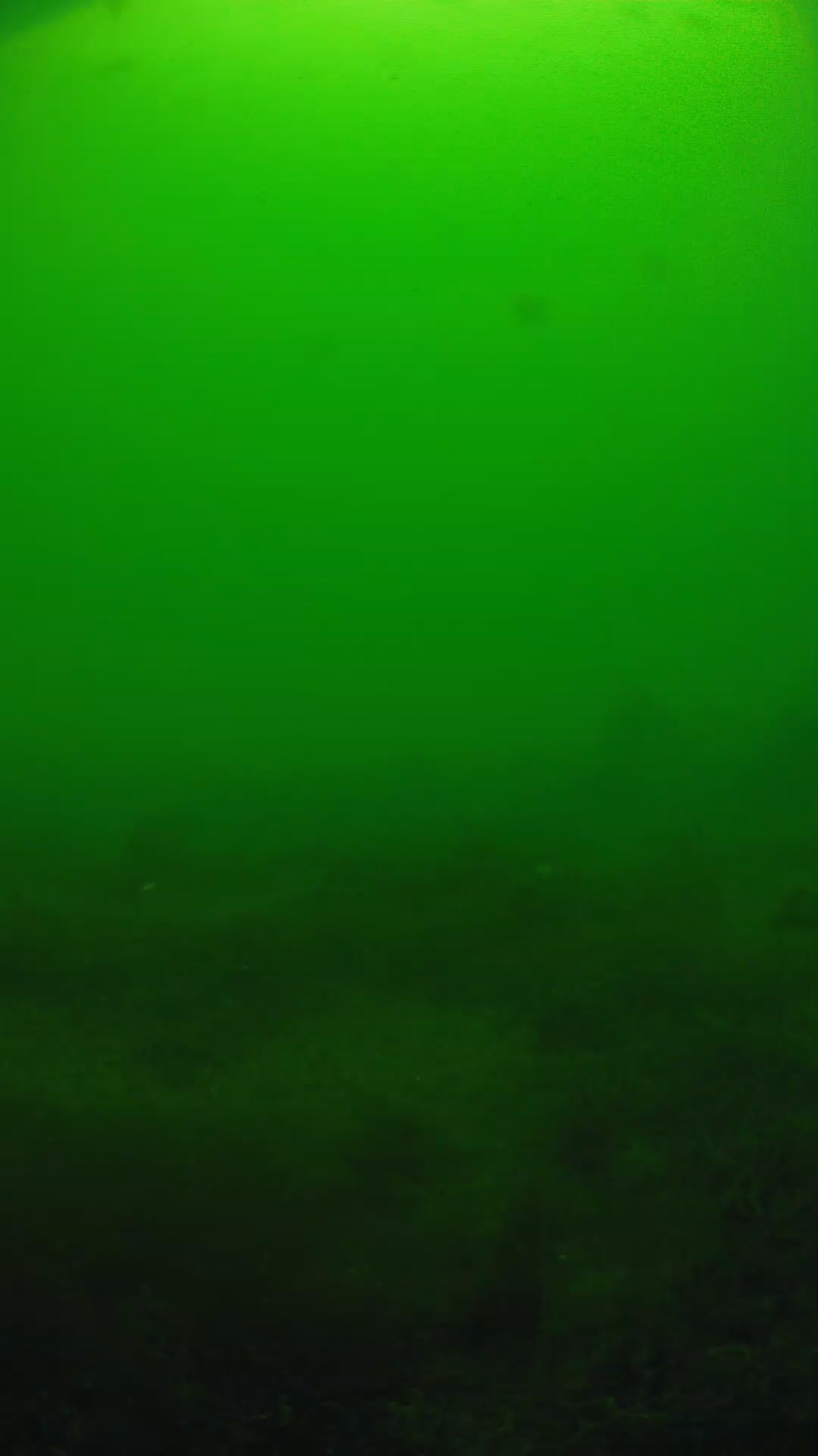 lander_ipcam_20250605124644.png
