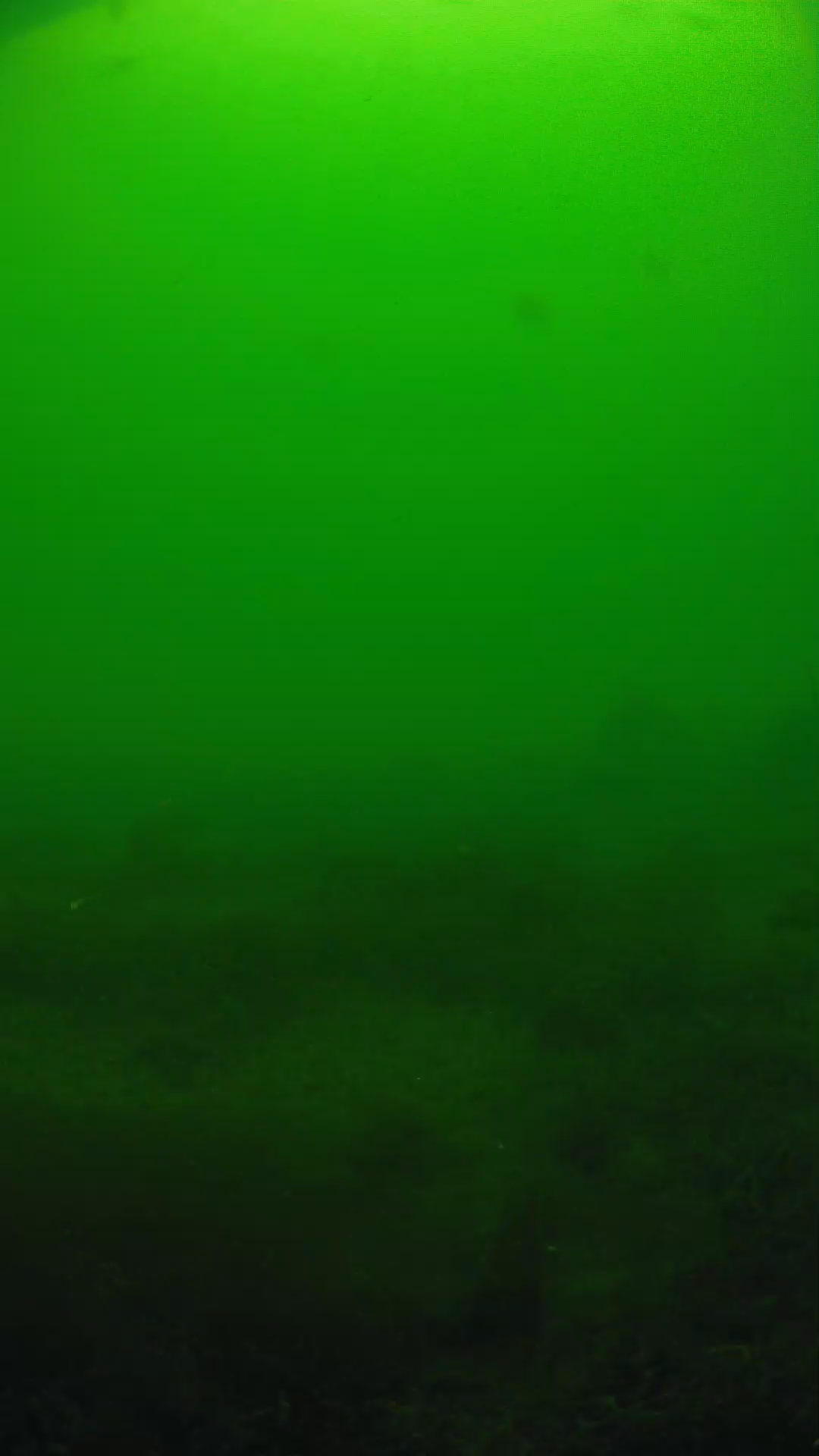 lander_ipcam_20250605124645.png