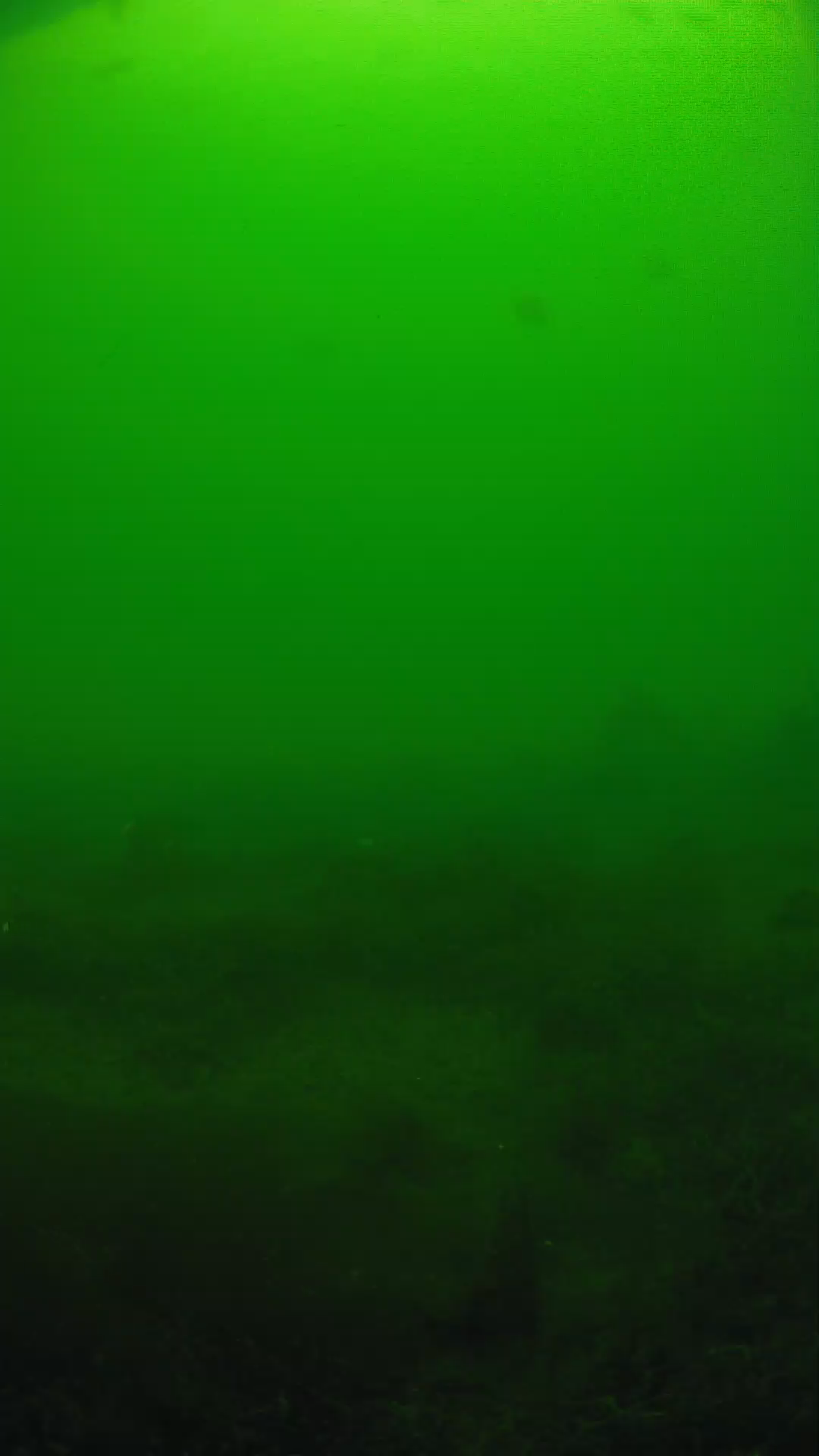 lander_ipcam_20250605124646.png