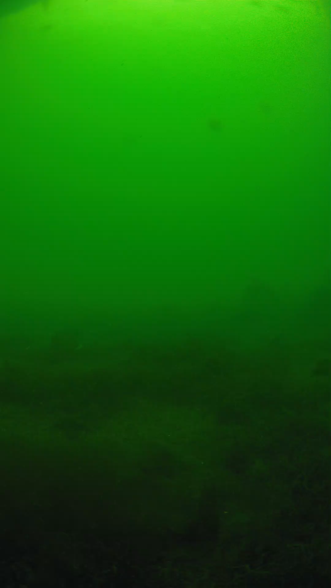 lander_ipcam_20250605124648.png