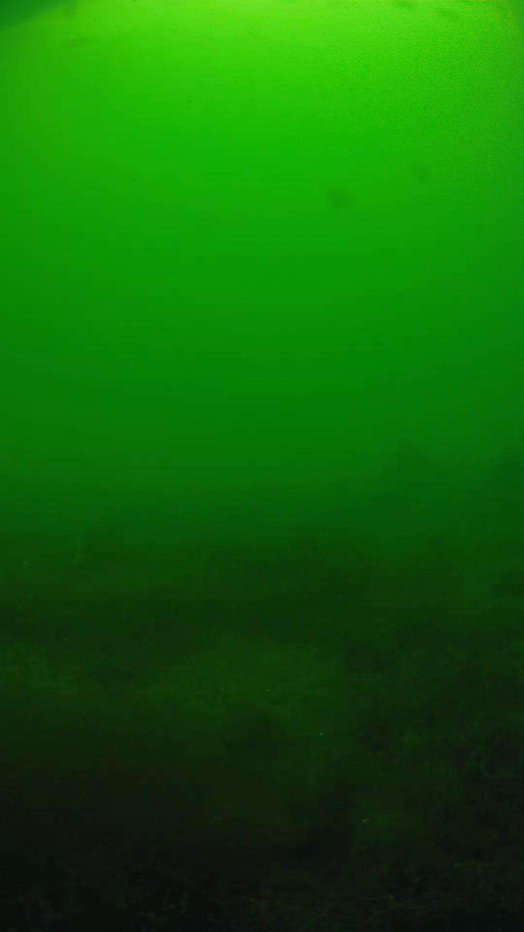 lander_ipcam_20250605124649.png