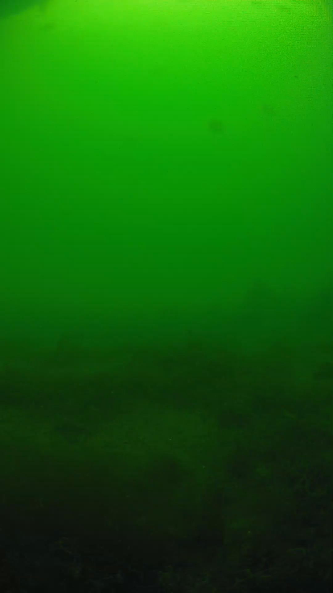 lander_ipcam_20250605124653.png