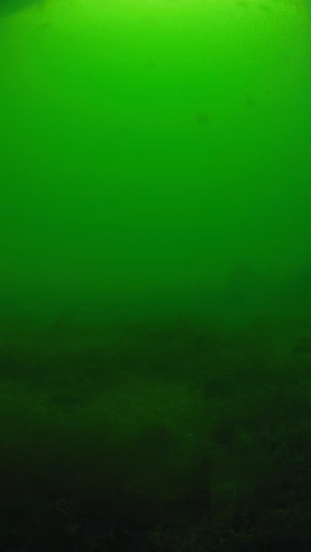 lander_ipcam_20250605124654.png