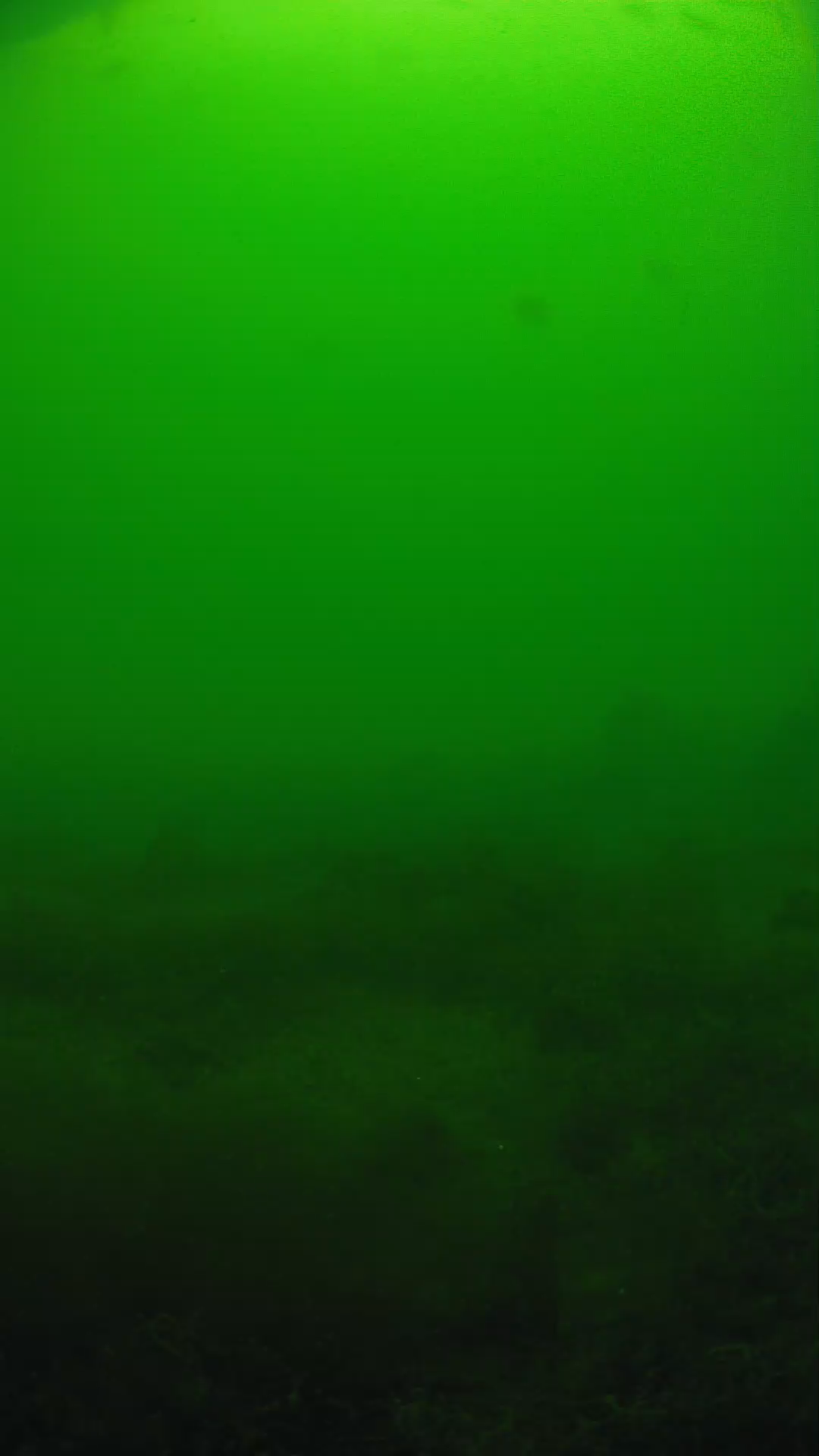 lander_ipcam_20250605124655.png